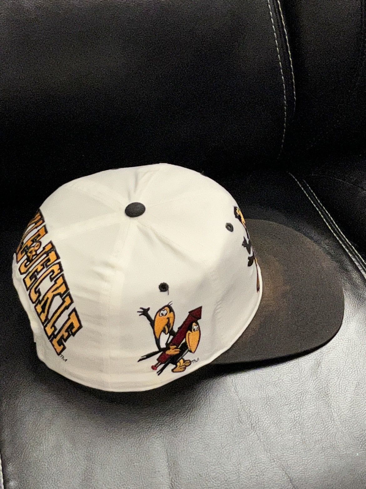 image of American Needle Vintage 1993 Heckle & Jeckle Blockhead Snapback in White, Men's