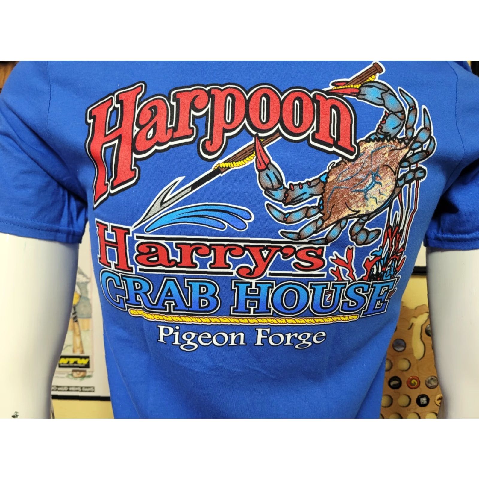 Gildan Harpoon Harry's Crab House T-Shirt Small Mens Blue Gildan Ultra Cotton VINTAGE Restaurant Beach 90s Pigeon Forge TN Size US S / EU 44-46 / 1 - 4 Thumbnail