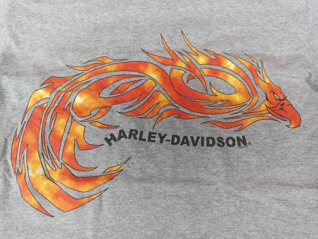 Harley Davidson Y2K Harley Davidson Japan HD2004 Size US S / EU 44-46 / 1 - 5 Thumbnail