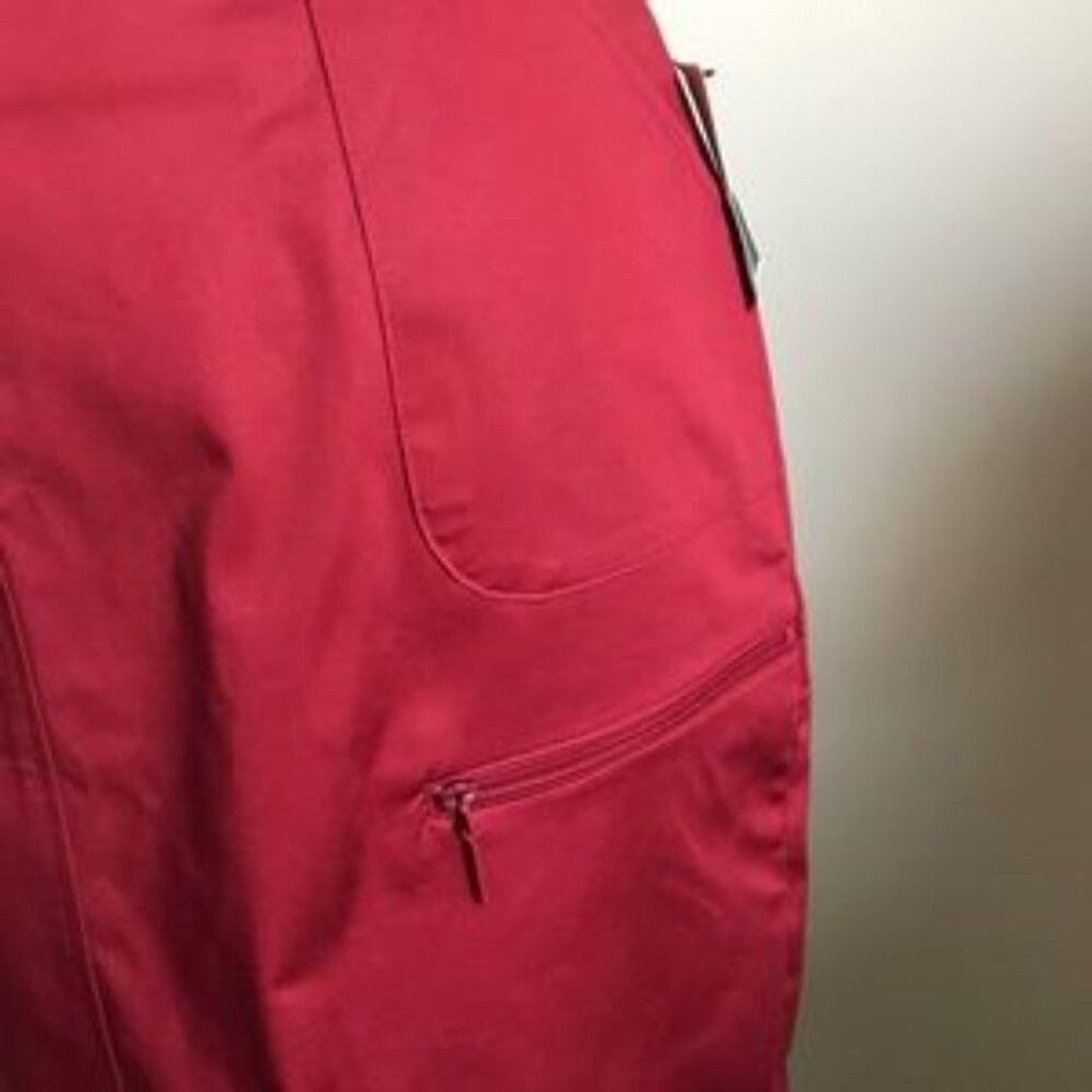 Alfani Alfani NWT Maroon/burgundy skirt Size 32" / US 10 / IT 46 - 3 Thumbnail