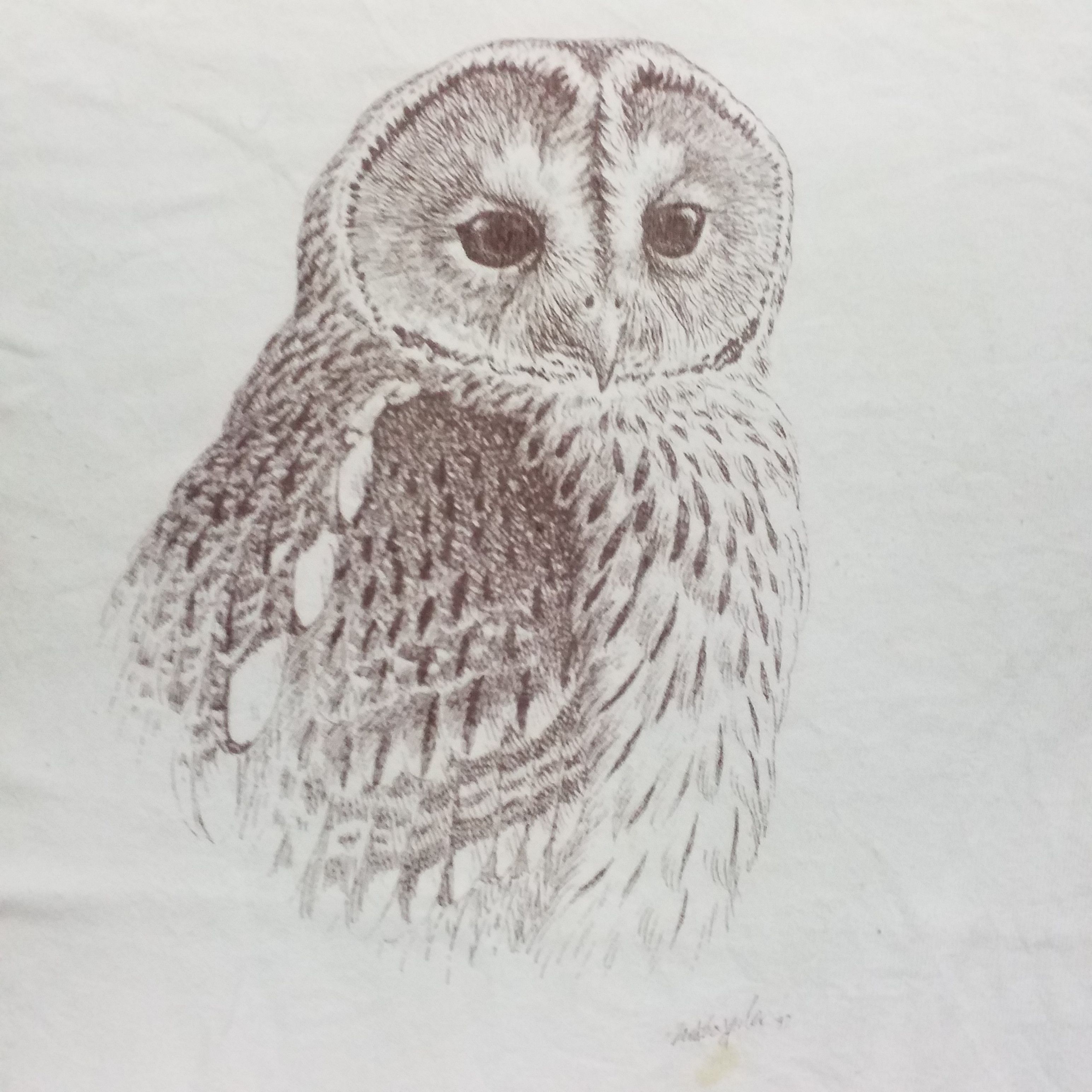 Vintage VINTAGE BIRD HOUSE BIRD PICTURE LIKE LIFE ANIMAL Size US S / EU 44-46 / 1 - 2 Thumbnail