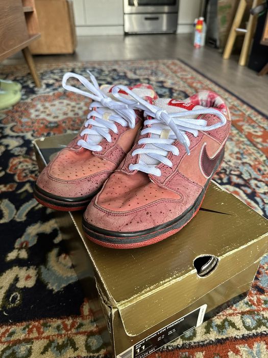 nike sb red lobster