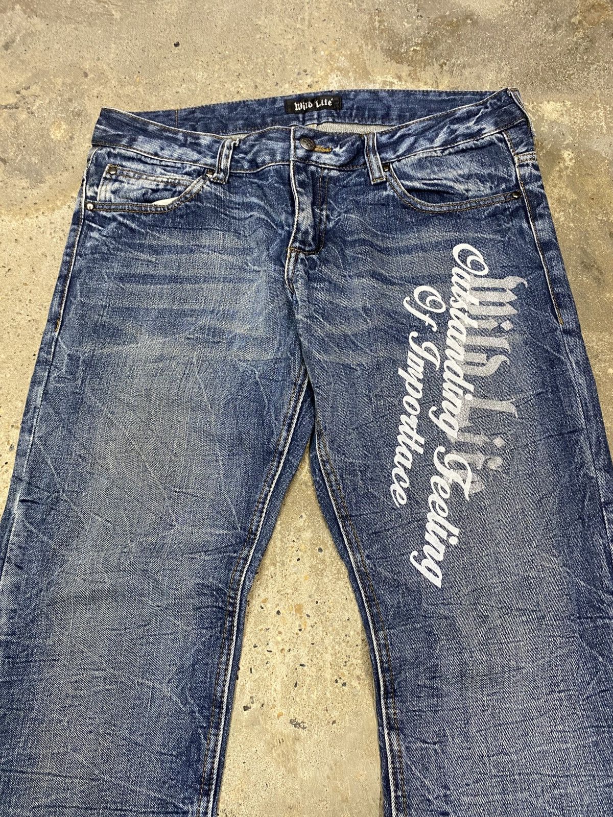 If Six Was Nine × Le Grande Bleu (L.G.B.) japanese grunge undefined wildlife wash jeans pant Size US 34 / EU 50 - 2 Thumbnail