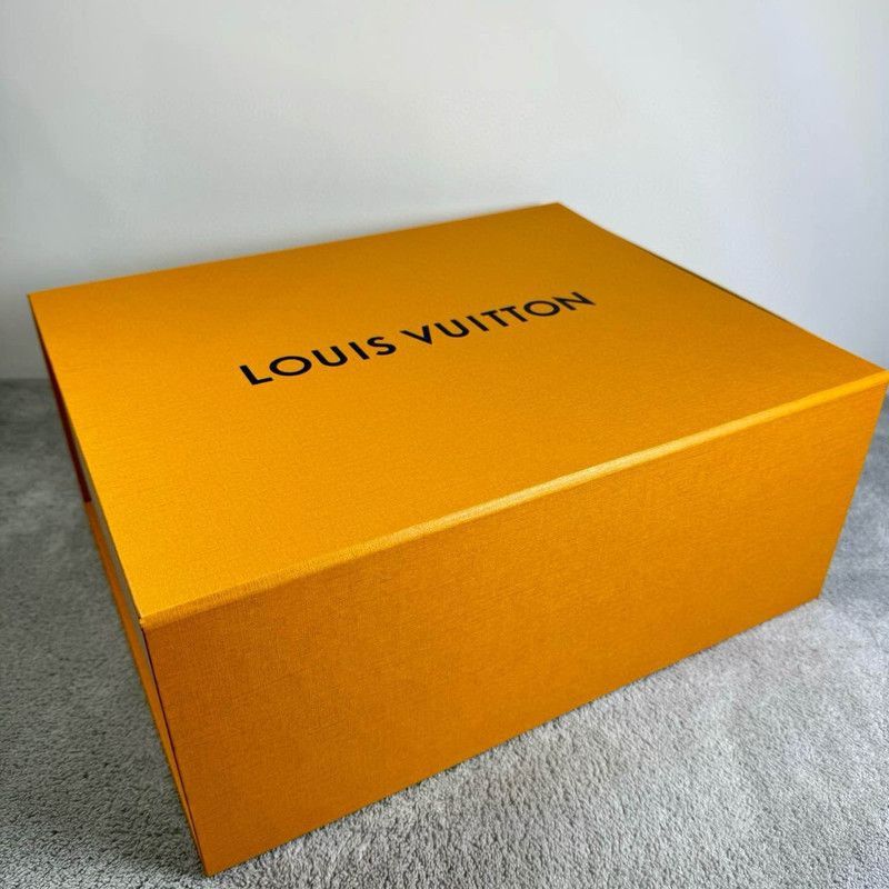 Louis Vuitton Louis Vuitton Trainer Low Top Sneakers for Men -2508 Size US 8 / EU 41 - 6 Thumbnail