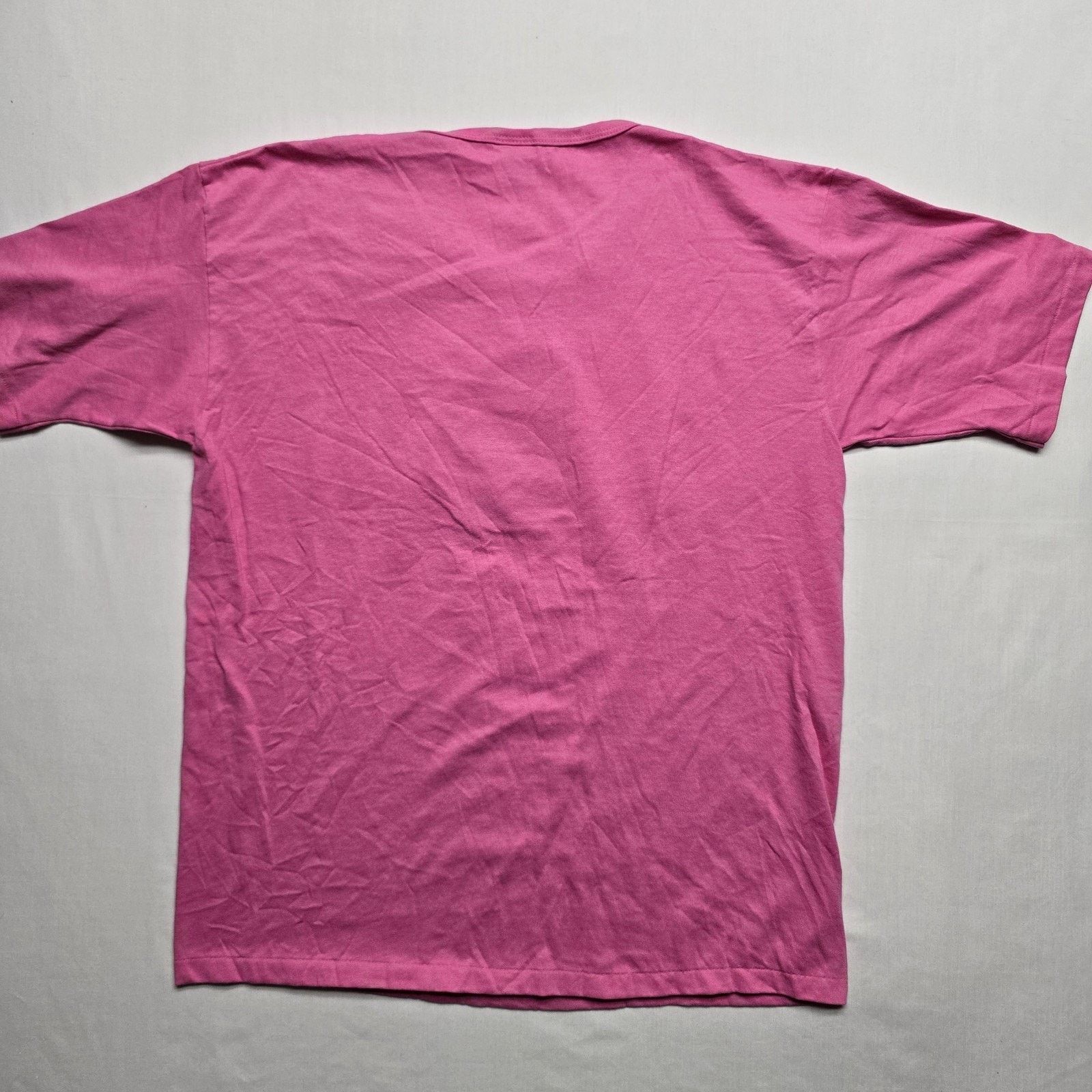 Anvil Vintage Womens Wyoming Shirt Large Pink Mountains Anvil Size L / US 10 / IT 46 - 5 Thumbnail