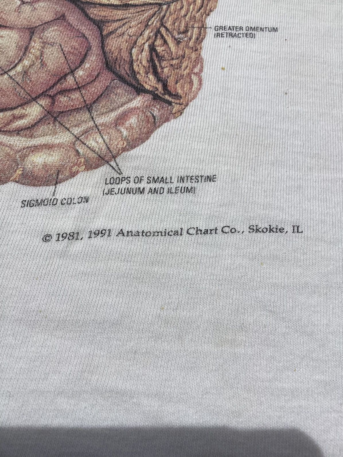 Other × Vintage Vintage 1991 Male organ anatomy chart single stitch T-shirt Size US L / EU 52-54 / 3 - 3 Thumbnail