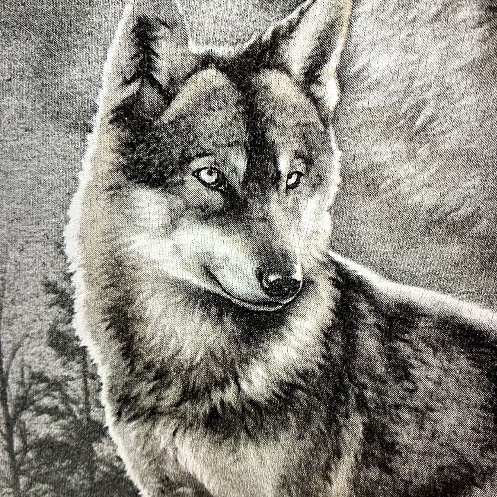 Vintage VINTAGE DOM Wolf Pack T-Shirt Adult Small Gray Graphic Print Nature Retro Outdoor Mens Size US S / EU 44-46 / 1 - 7 Thumbnail