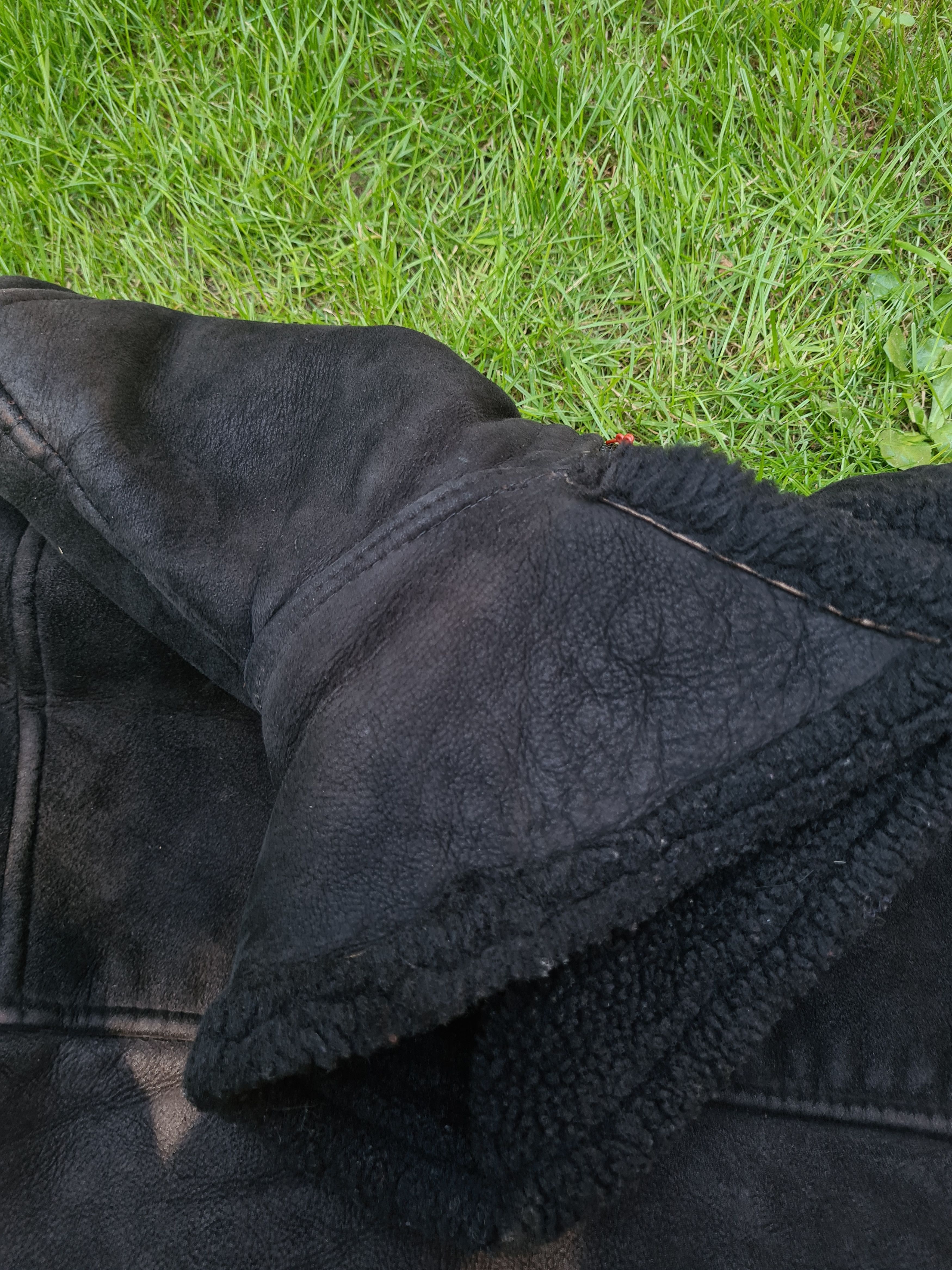 Vintage Vintage Fur Leather Jacket Size US L / EU 52-54 / 3 - 6 Thumbnail