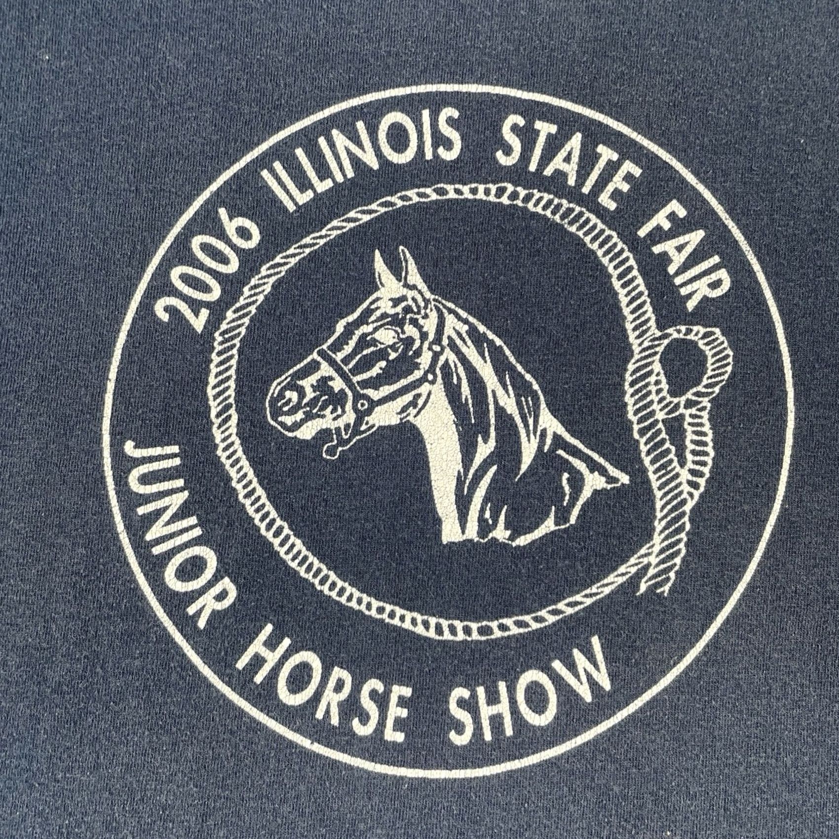 Gildan VINTAGE Gildan Blue T Shirt 2006 Illinois State Fair Junior Horse Show Y2K Medium Mens Size US M / EU 48-50 / 2 - 3 Thumbnail