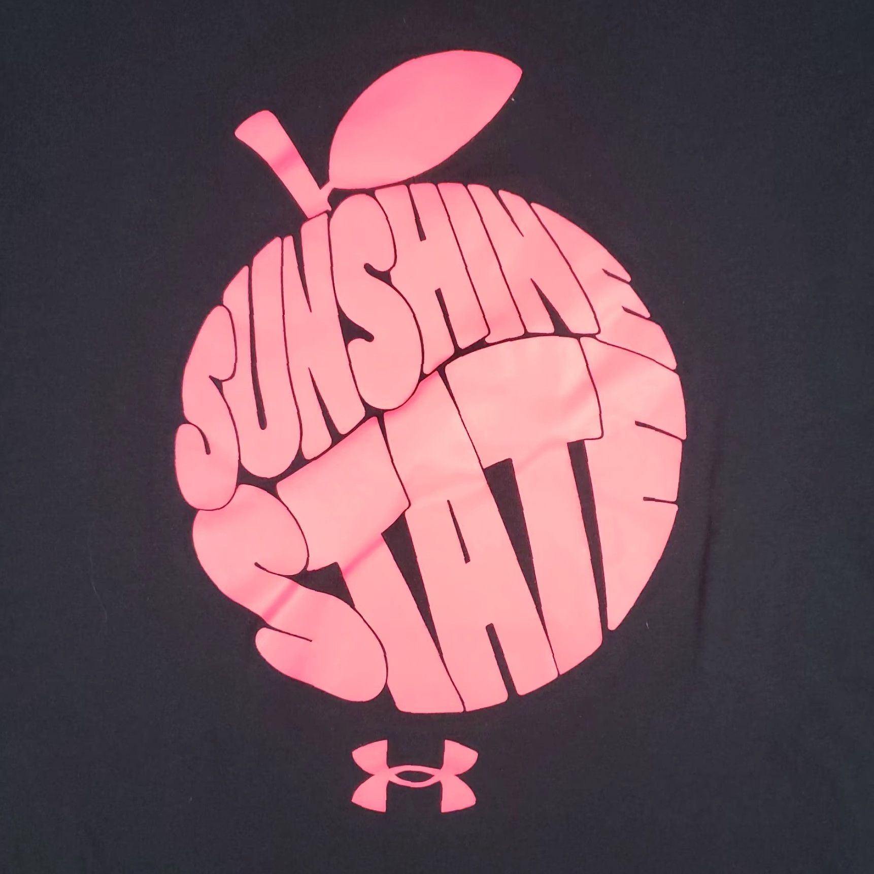 Under Armour Under Armour T-Shirt Mens Medium Black Sunshine State Heatgear Short Sleeve Crew Neck Logo Woven Cotton Blend All Seasons Sports Mens/Mens (Adult) Size US M / EU 48-50 / 2 - 3 Thumbnail