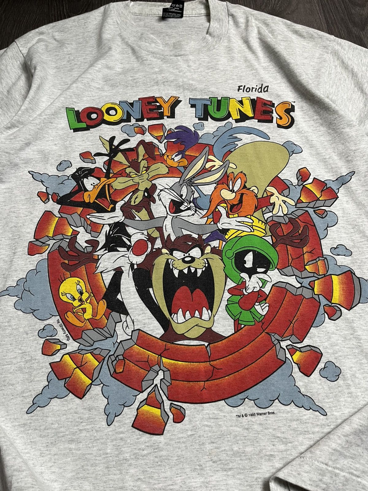 Vintage RARE 1995 Looney Tunes Group Photo Graphic Shirt Size US M / EU 48-50 / 2 - 3 Thumbnail