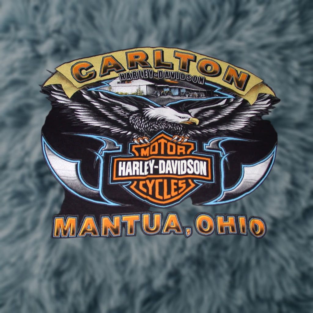 Harley Davidson Harley-Davidson T-Shirt Mens Black 100% Cotton Short Sleeve Graphic Tee Small Mantua OH Carlton Nice Biker Ohio Size US S / EU 44-46 / 1 - 1 Preview
