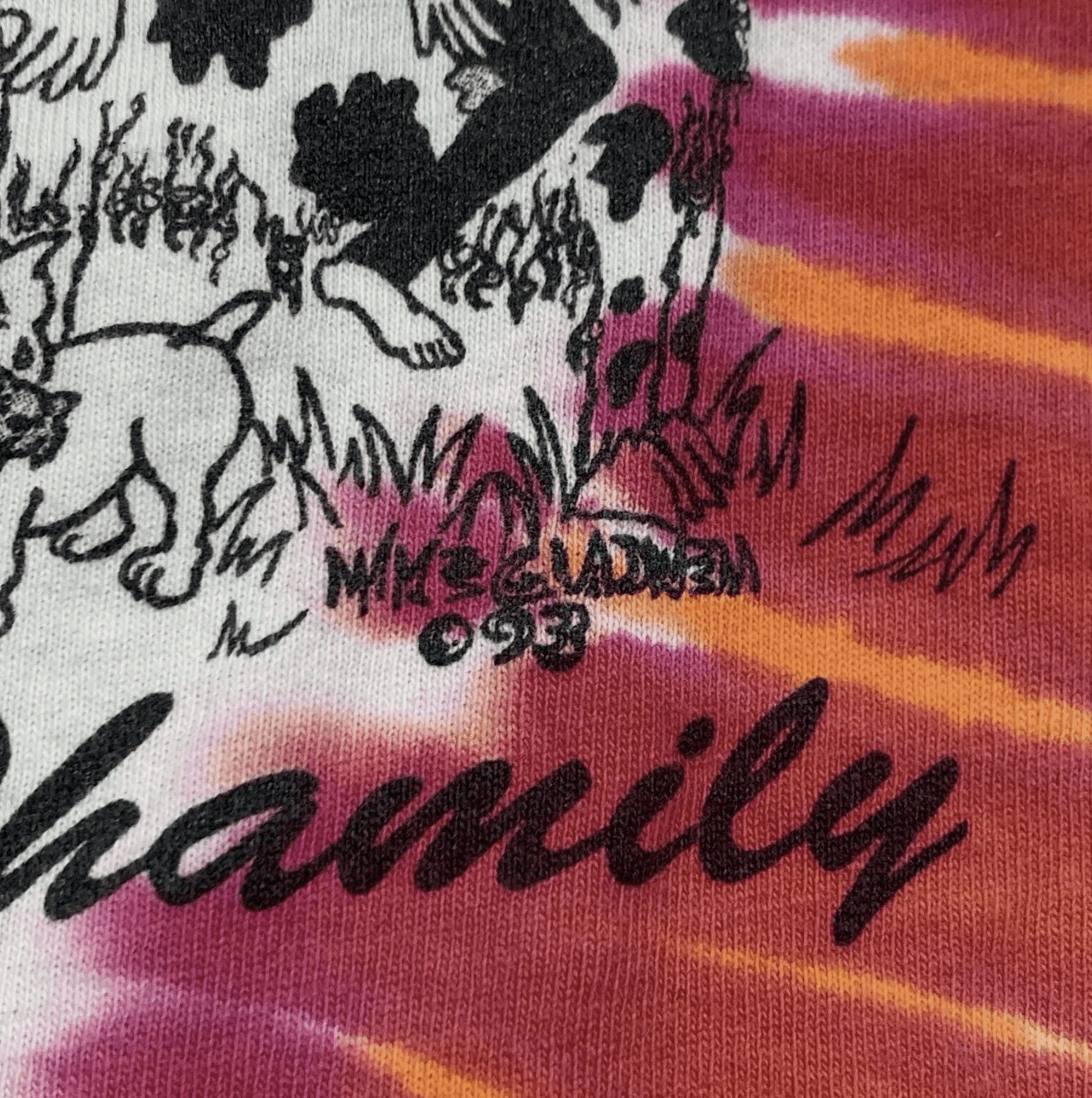 Hanes Phish Phun For Whole Phamily Tie Dye T Shirt XL Vintage 1993 Size US XL / EU 56 / 4 - 9 Thumbnail