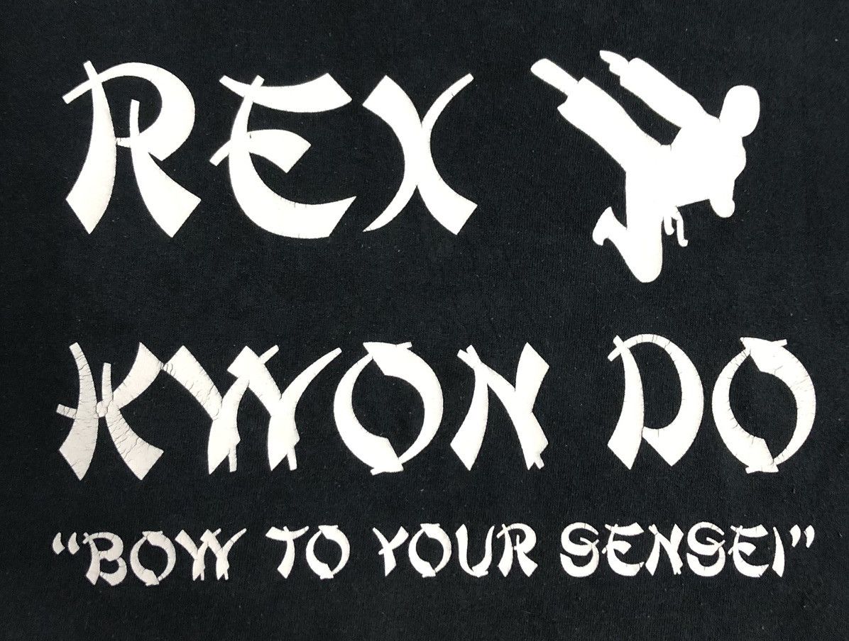 Vintage Vintage Gildan Rex Kyyon Do Boyy To Your Sensei T-Shirt Size US L / EU 52-54 / 3 - 3 Thumbnail