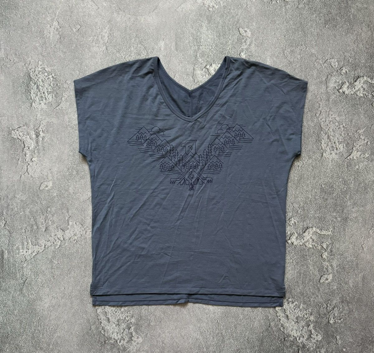 Icebreaker Icebreaker XL Wmns big logo tee T-shirt blouse tank merino Size XL / US 12-14 / IT 48-50 - 5 Thumbnail