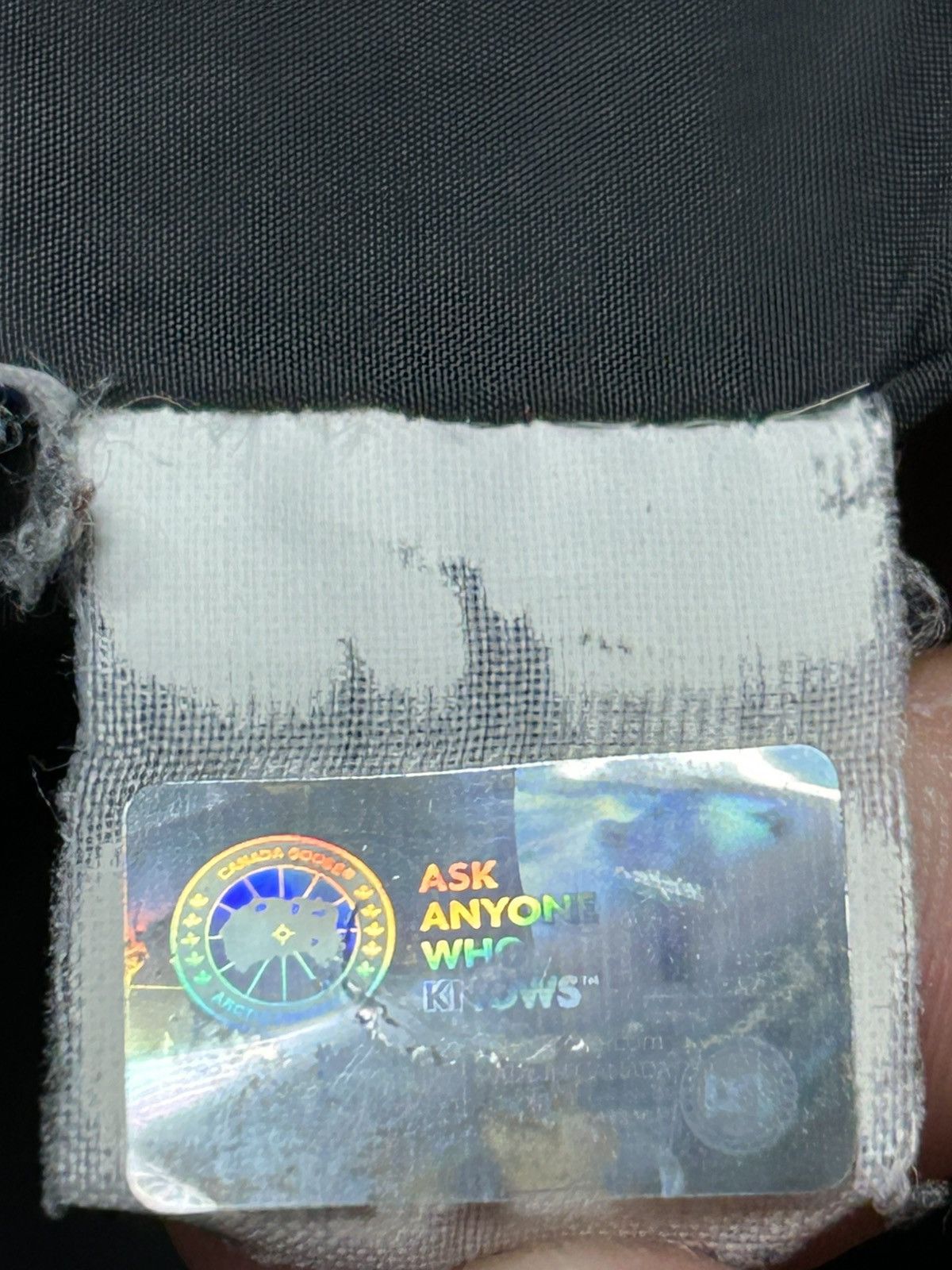 Canada Goose Canada goose parka navy Size US XL / EU 56 / 4 - 15 Thumbnail