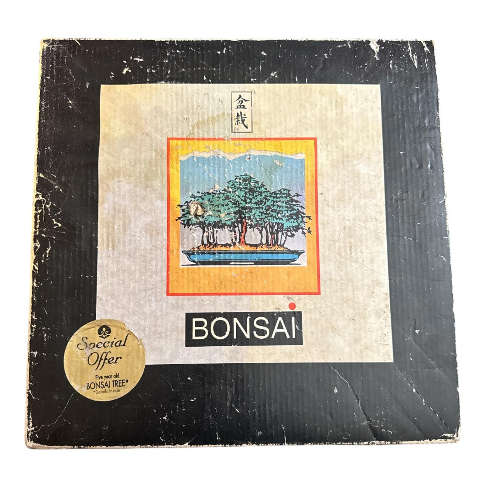 Other Vintage Bonsai Tree Growing Kit with Tools and Japanese Pine Size ONE SIZE - 1 Thumbnail
