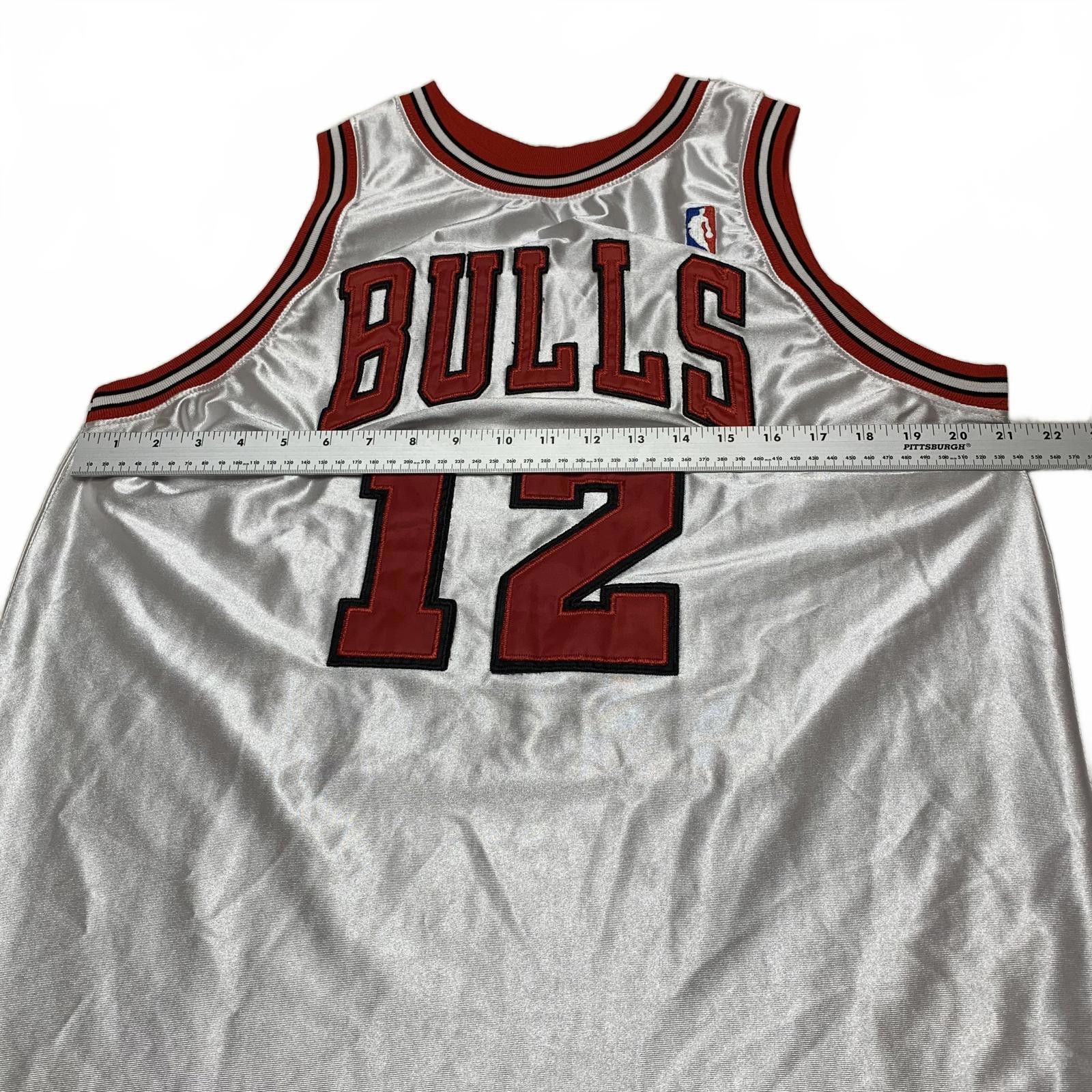NBA Chicago Bulls #12 Kirk Hinrich Basketball Jersey White Red Size US M / EU 48-50 / 2 - 6 Thumbnail