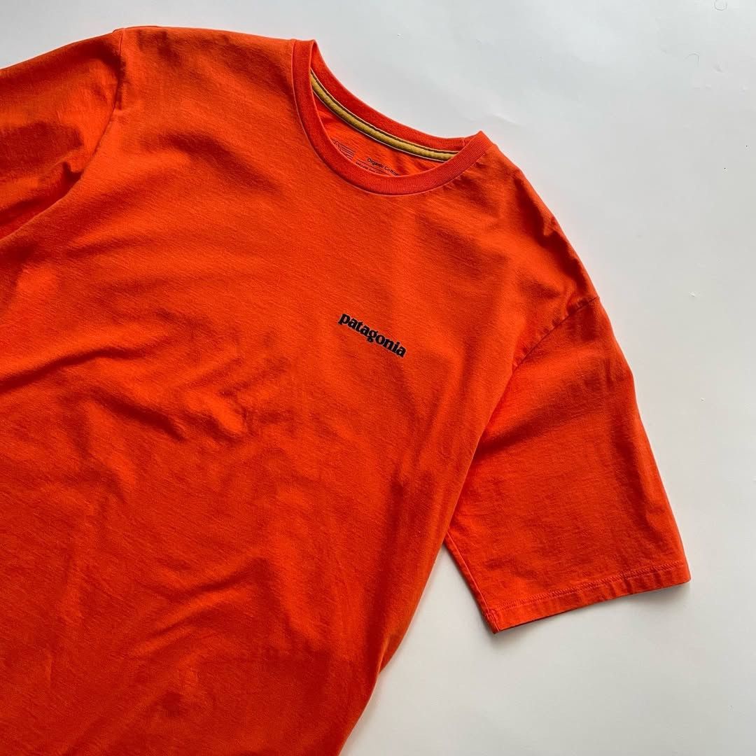 Patagonia patagonia t-shirt Size US S / EU 44-46 / 1 - 2 Thumbnail