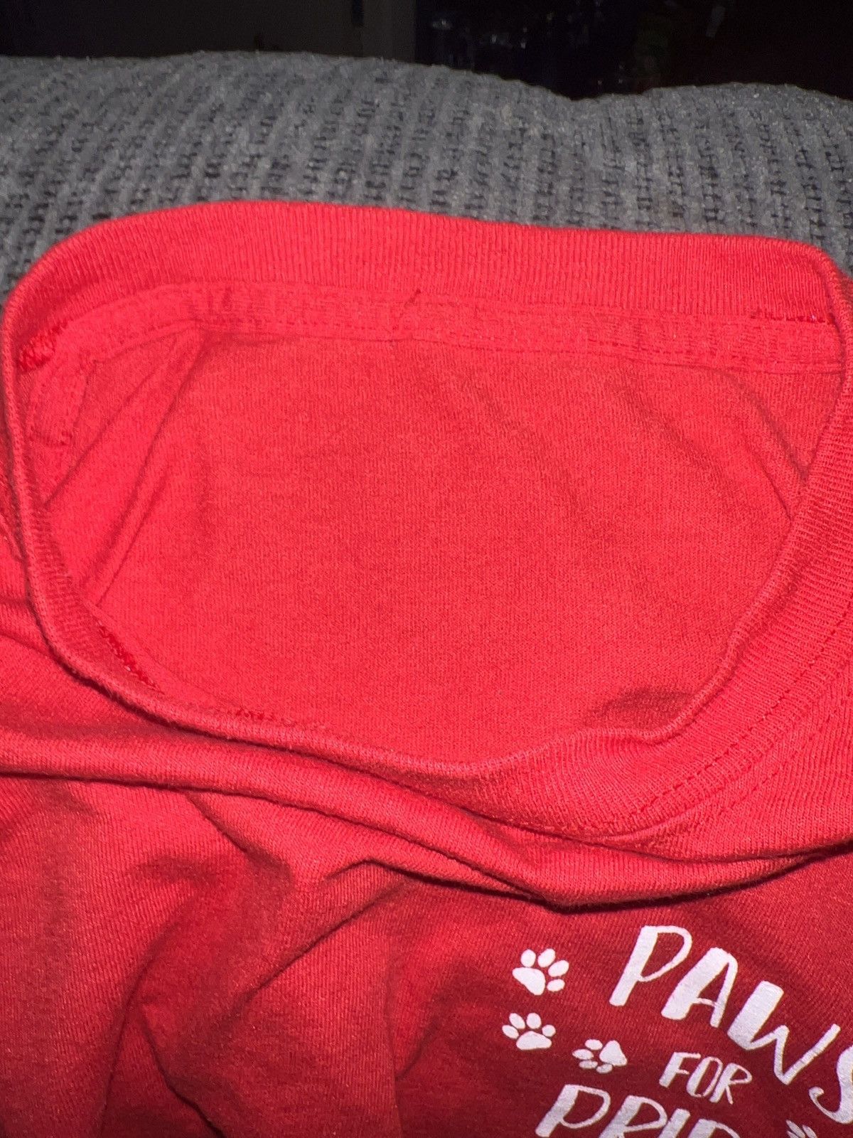 Hypebeast SJA Paws For Pride Class Of 2022 Tee Size US L / EU 52-54 / 3 - 5 Thumbnail