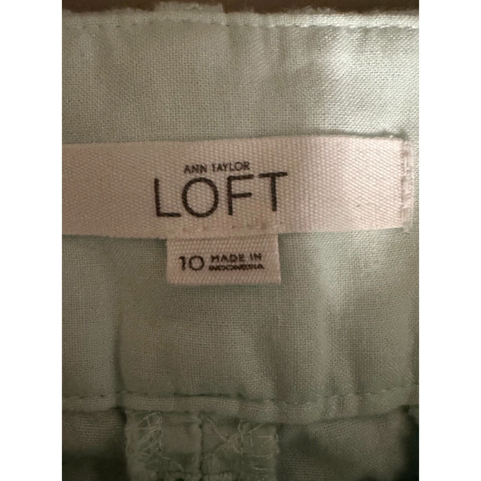 Ann Taylor Ann Taylor LOFT Casual Chino Shorts Green Size 10 Womens Regular Summer Cotton Twill Pockets Front Flat Front Button Zipper Casual Wear Size 32" / US 10 / IT 46 - 3 Thumbnail