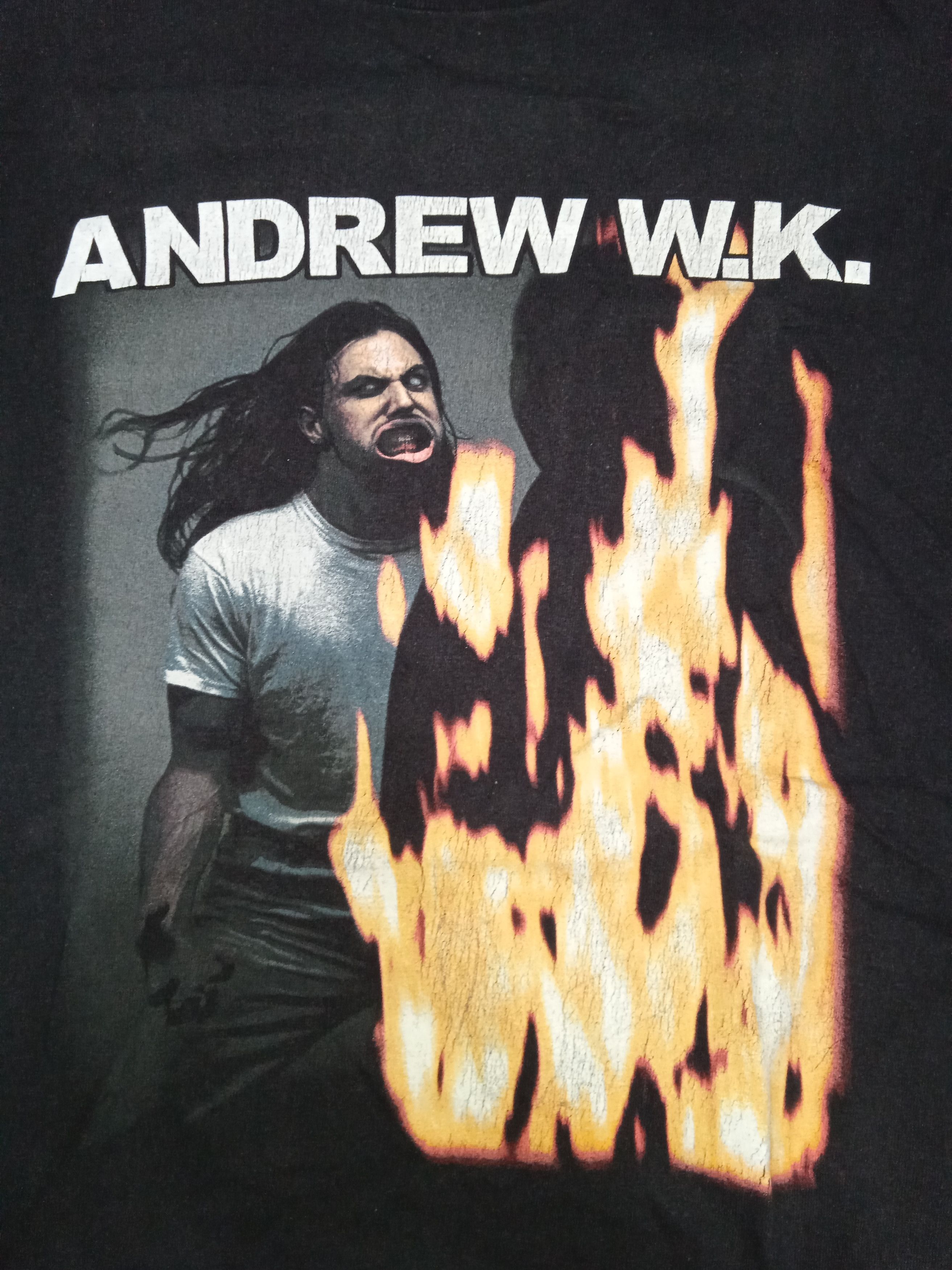 Band Tees × Vintage Vintage 2000s Andrew W.K. 2003 Tour T Shirt Size US L / EU 52-54 / 3 - 4 Thumbnail