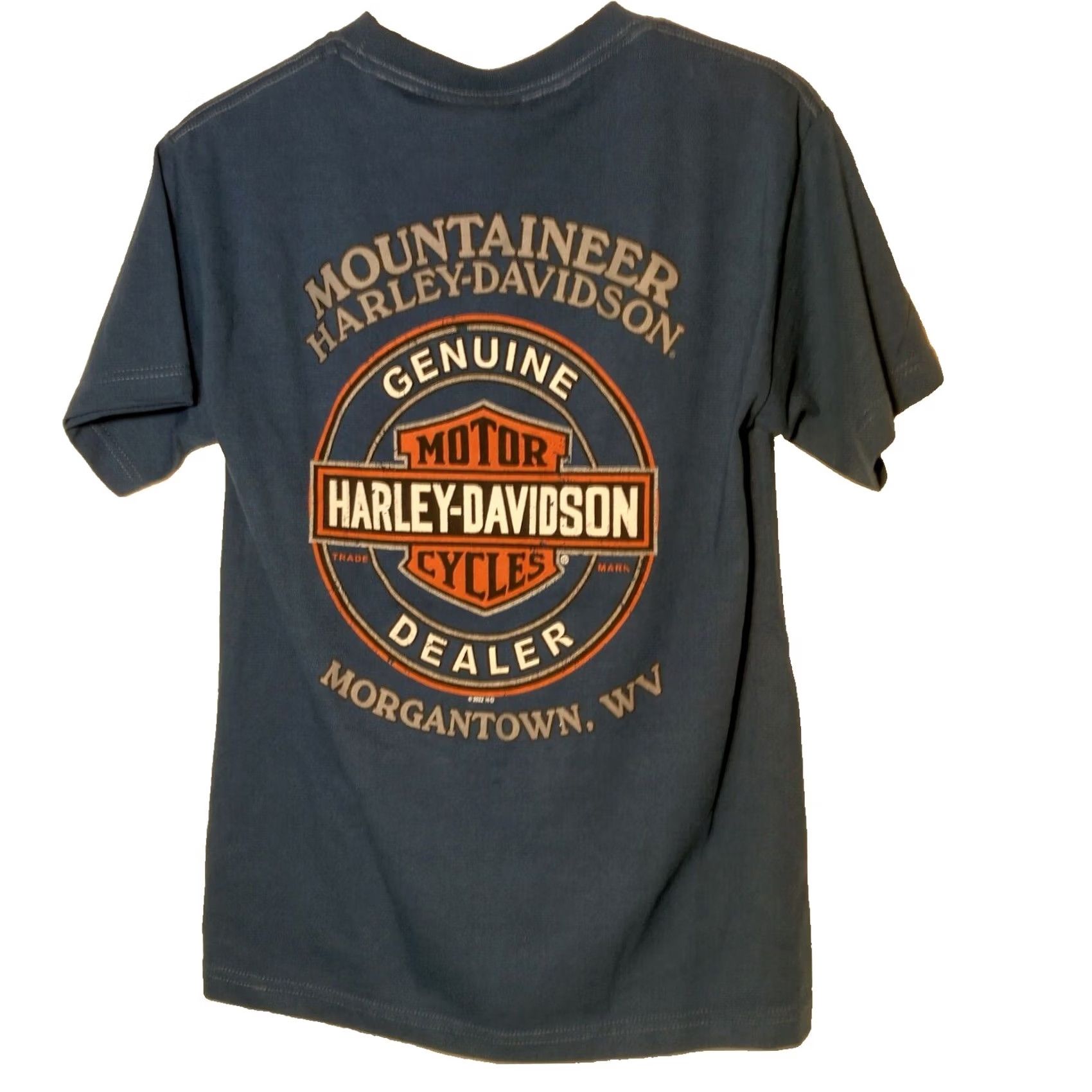 Harley Davidson Harley-Davidson Batman Shirt Small Blue Mountaineer Joker Run T-Shirt Size US S / EU 44-46 / 1 - 3 Thumbnail