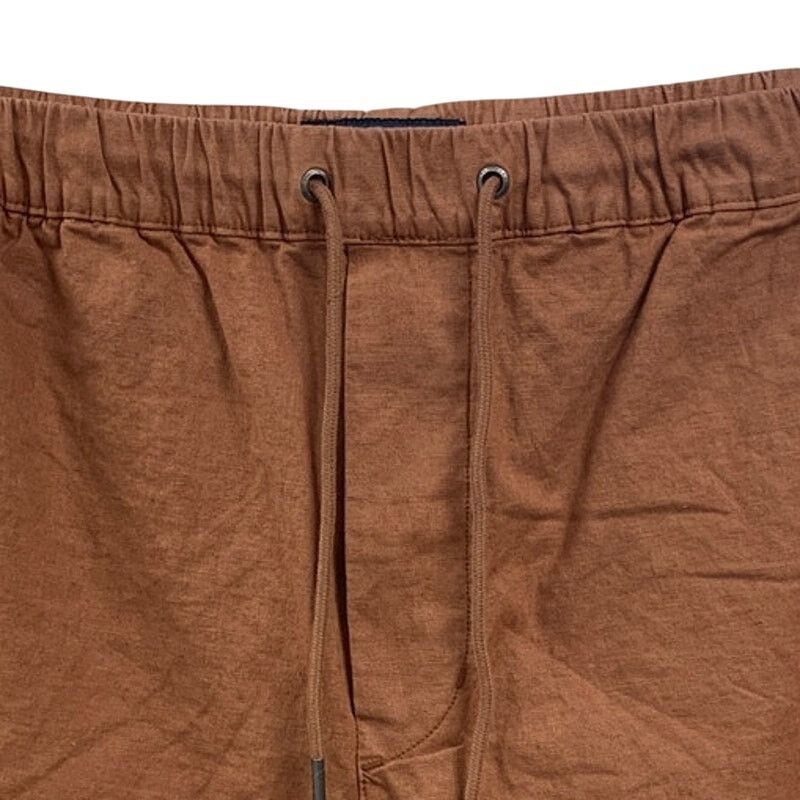 American Eagle Outfitters New American Eagle Mens Small Flex Drawstring Waist Shorts Size US 30 / EU 46 - 2 Thumbnail