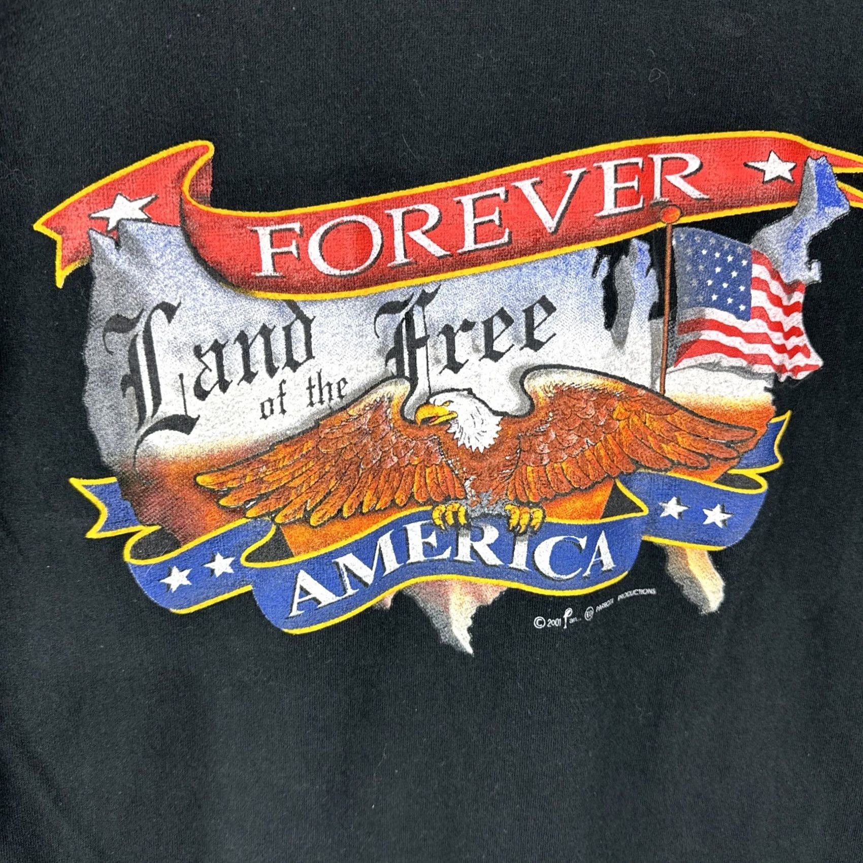 Fruit Of The Loom VINTAGE Land Of The Free T Shirt Large American Black 2000s Eagle Fruit of the Loom Heavy Mens Short Sleeve Cotton USA Patriotic Logo Shirt Size US L / EU 52-54 / 3 - 2 Thumbnail