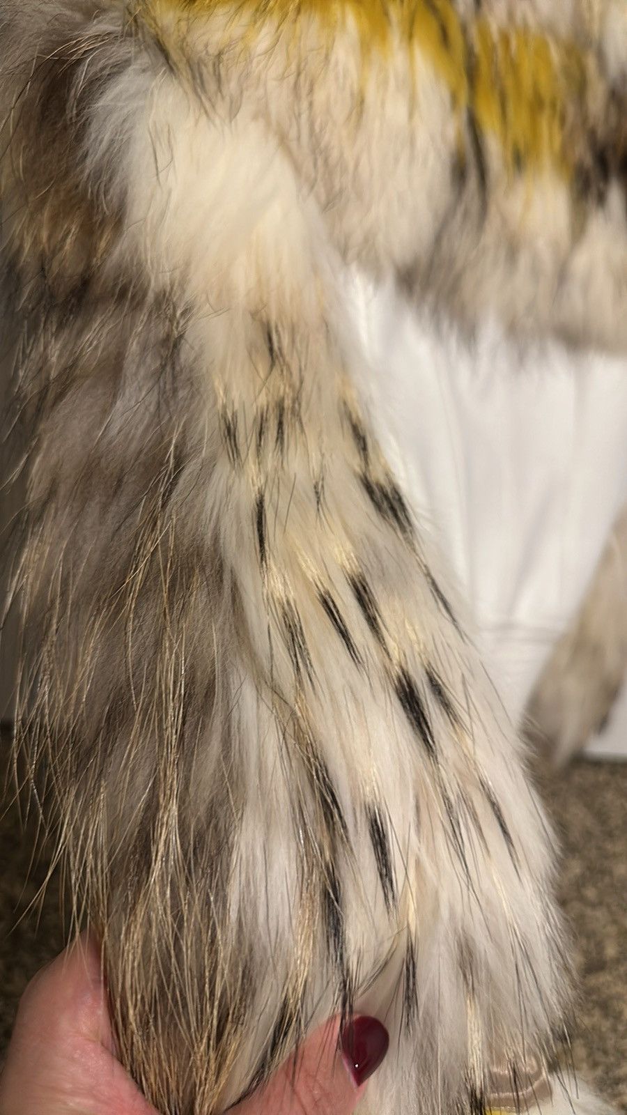 Bcbgmaxazria Bcbgmaxazria runway collection Size M / US 6-8 / IT 42-44 - 10 Thumbnail