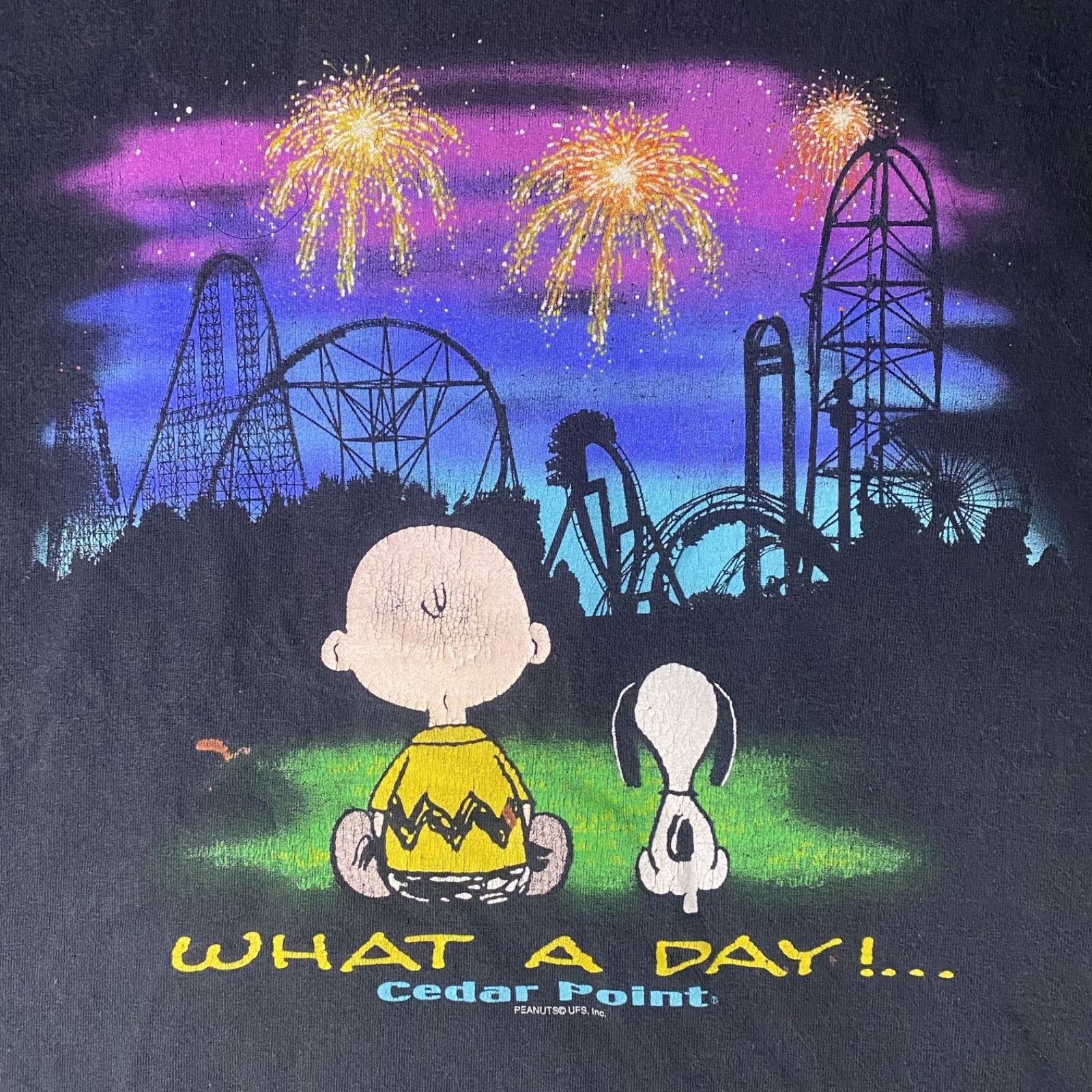Other Vtg Cedar Point Peanuts Snoopy Charlie Brown T Shirt Large Size US L / EU 52-54 / 3 - 2 Thumbnail
