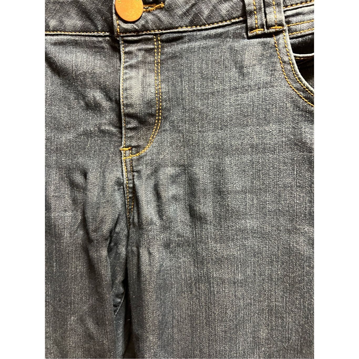 Other Democracy “Ab” Technology Skinny Jeans Woman’s Size 20W -Fla Size 42" / US 20 - 4 Thumbnail