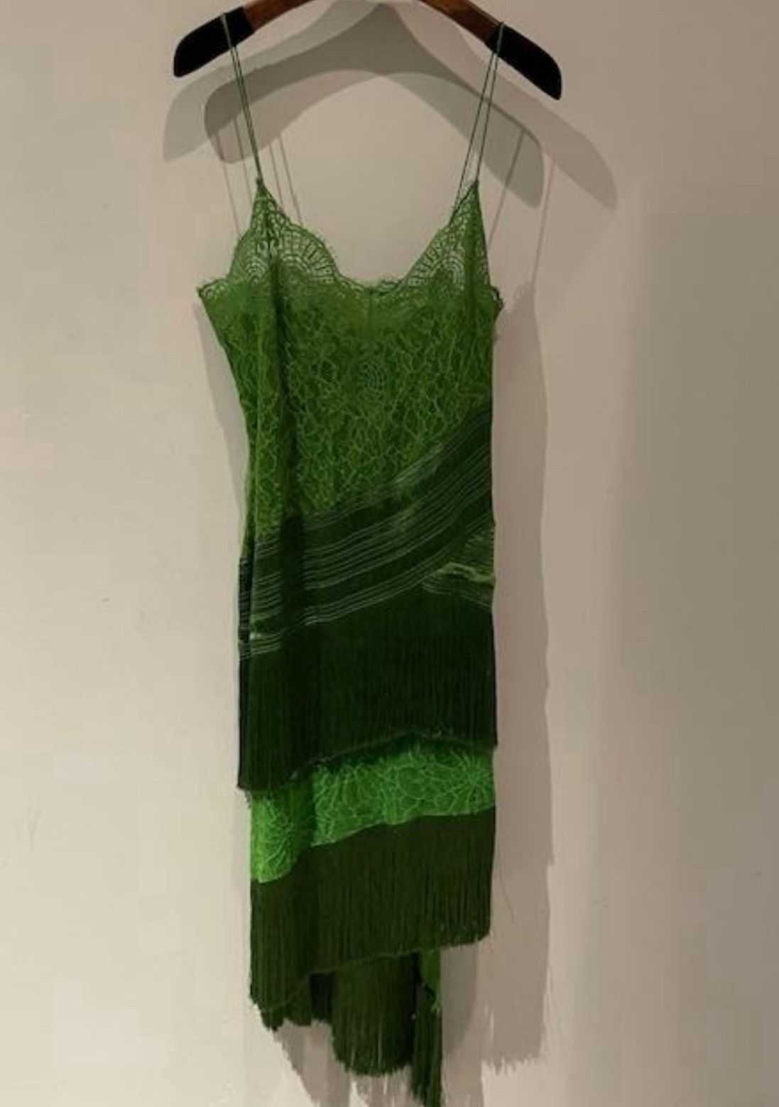 Tom Ford 🔥$6.5K VALUE 🔥Tom Ford Lace Fringe Dress in Green Size M / US 6-8 / IT 42-44 - 1 Preview