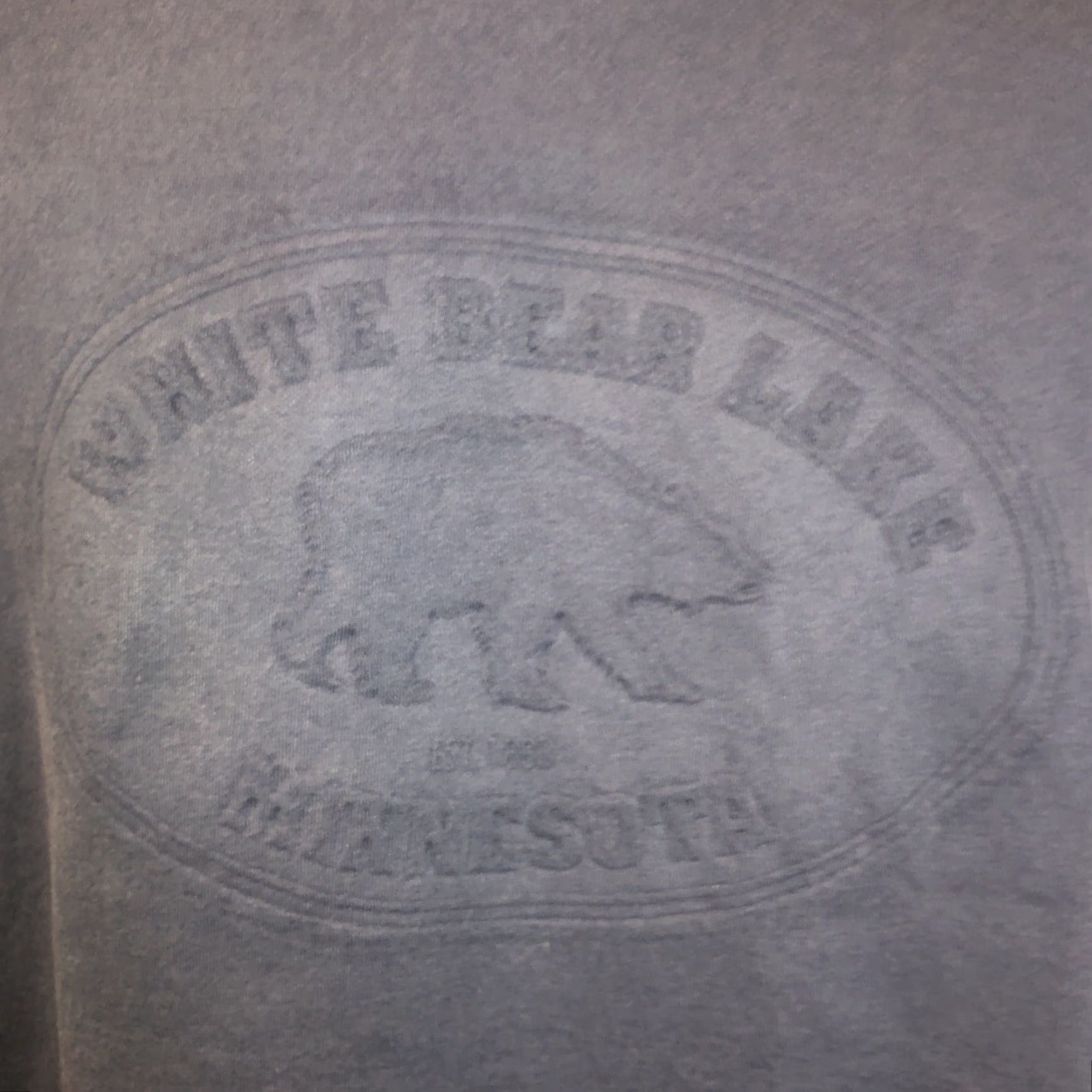 Fruit Of The Loom VINTAGE Fruit of the Loom T-Shirt White Bear Lake Minnesota Textured Print 90s Mens Large Short Sleeve Size US L / EU 52-54 / 3 - 2 Thumbnail