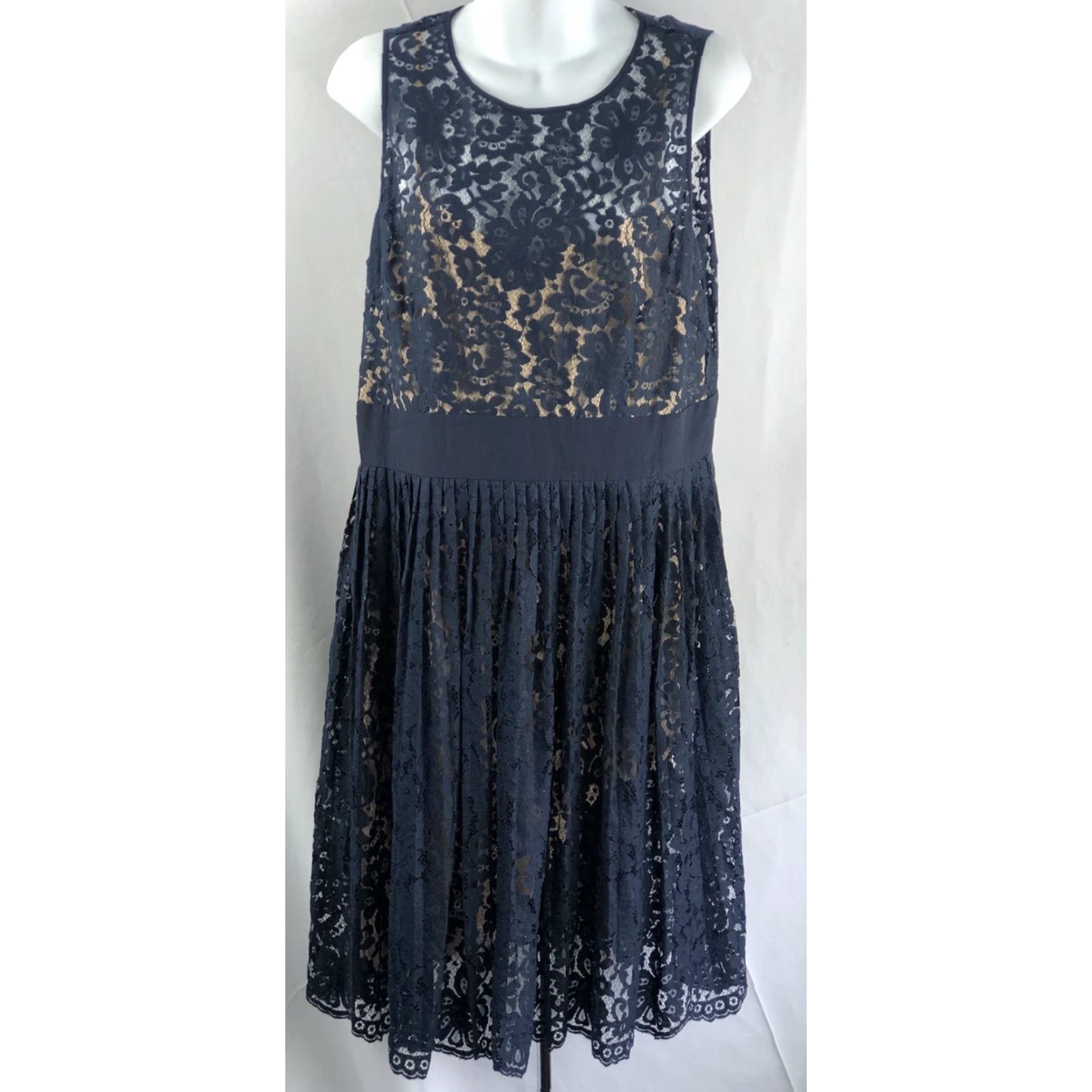 Eliza J Sleeveless Midi Dress 14 Blue Floral Lace Pleated Skirt Whimsigoth  Fairy Dress