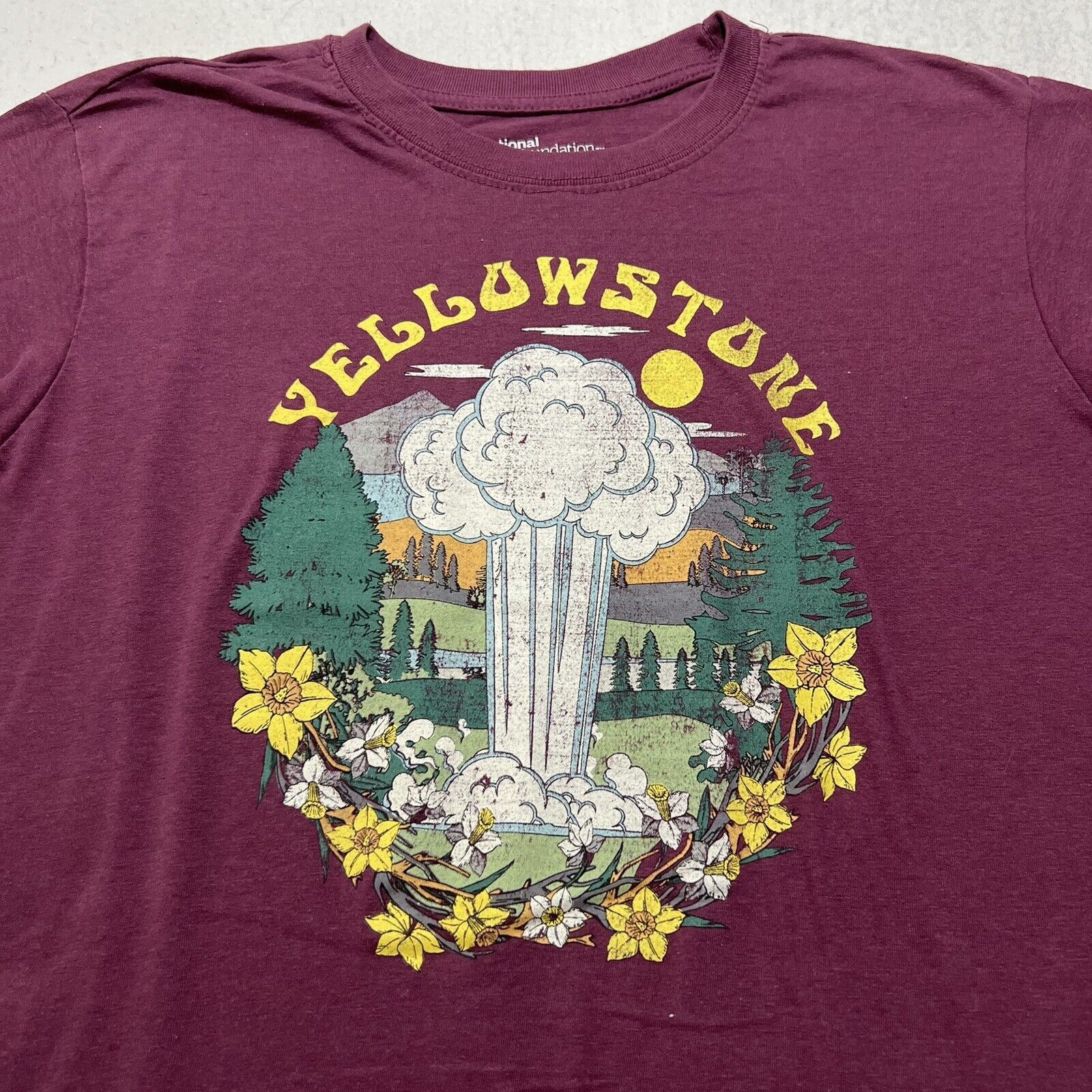 Other National Park Foundation Yellowstone Small Graphic T Shirt Size S / US 4 / IT 40 - 2 Thumbnail