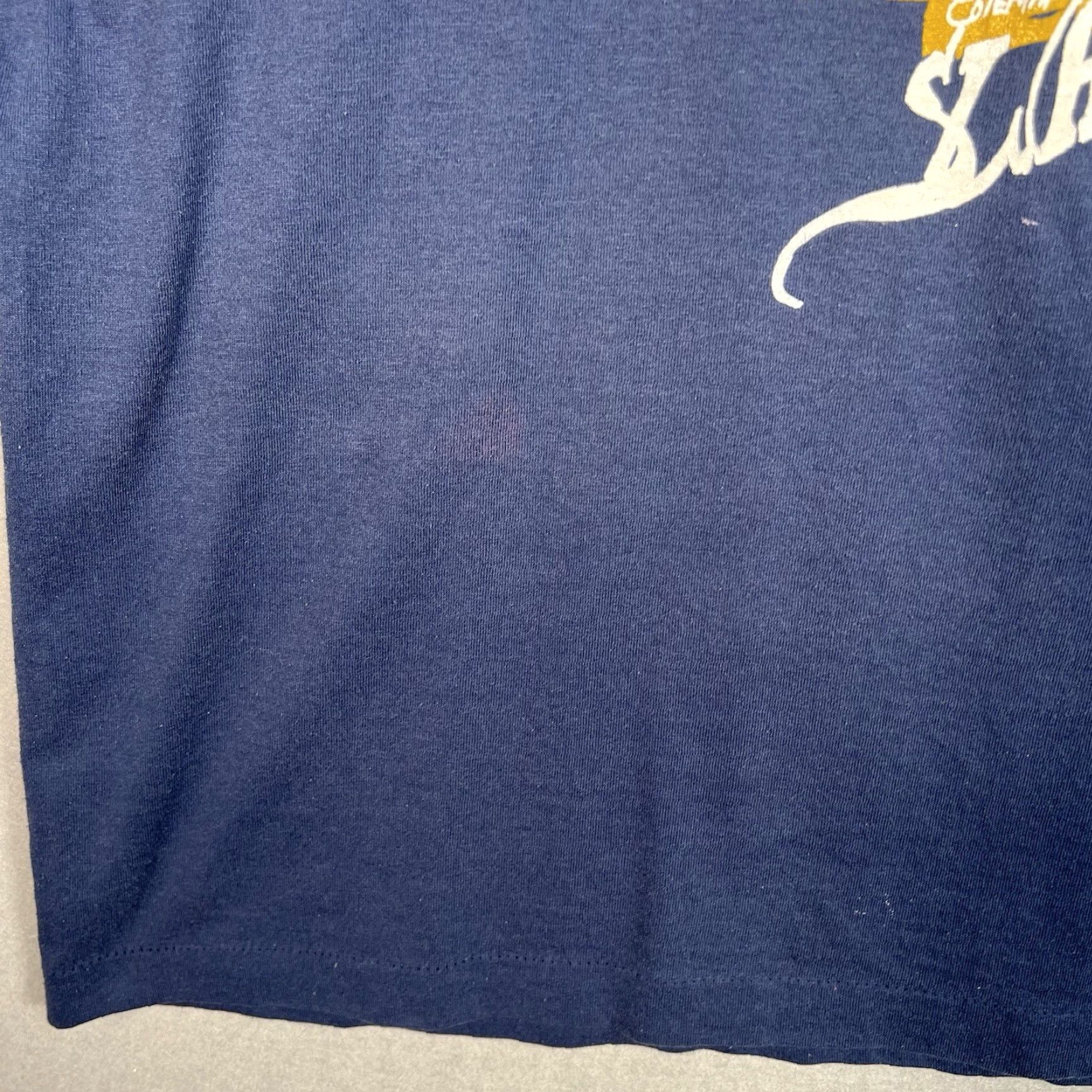 Fruit Of The Loom VINTAGE Fruit of the Loom Mincey Phillips Family Reunion T Shirt Adult 2XL Blue 1990s Mens Graphic Tee Size US XXL / EU 58 / 5 - 5 Thumbnail