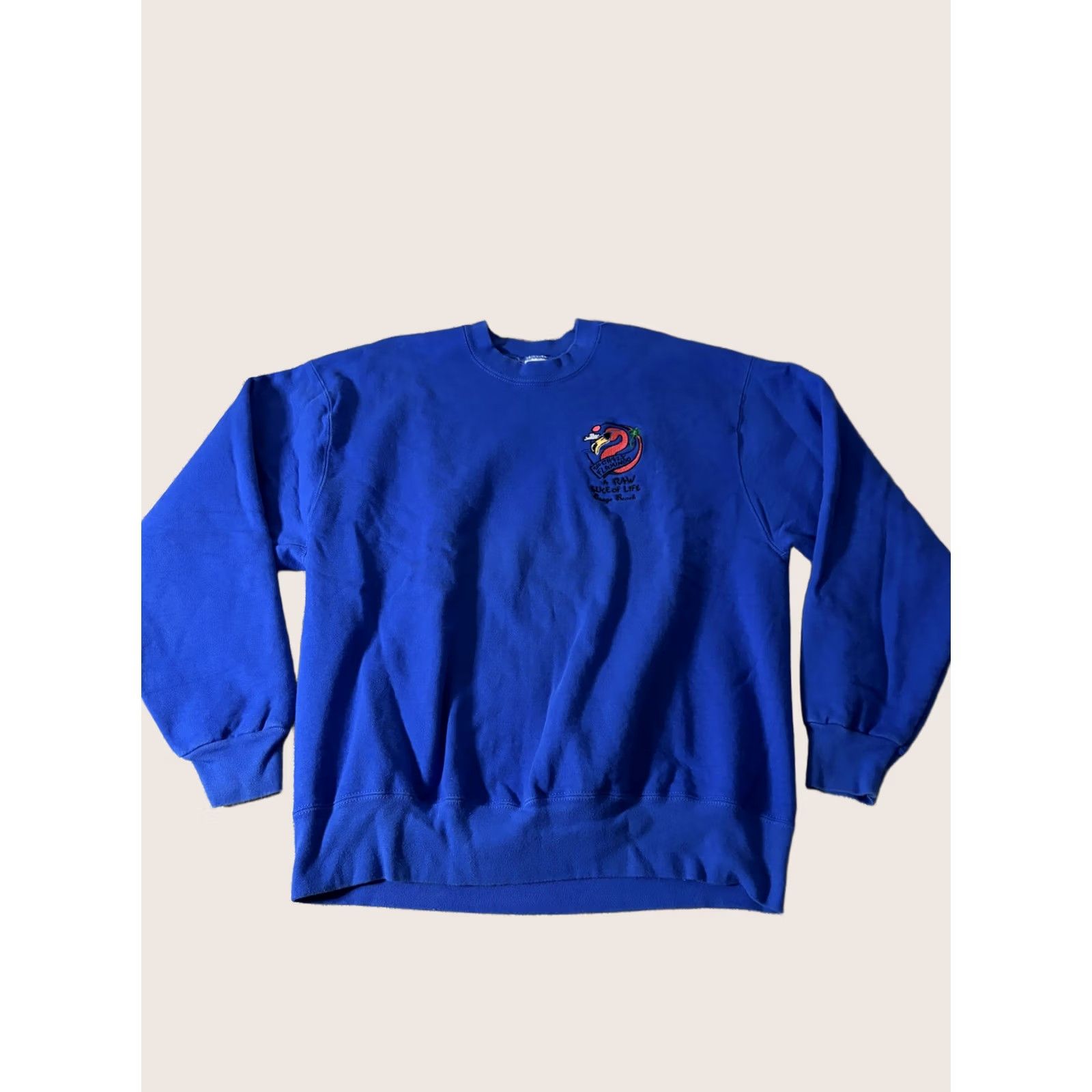 Fruit Of The Loom Fruit of the Loom Sweatshirt Mens Large Blue Flamingo Graphic Fleece Crewneck Size US L / EU 52-54 / 3 - 1 Thumbnail