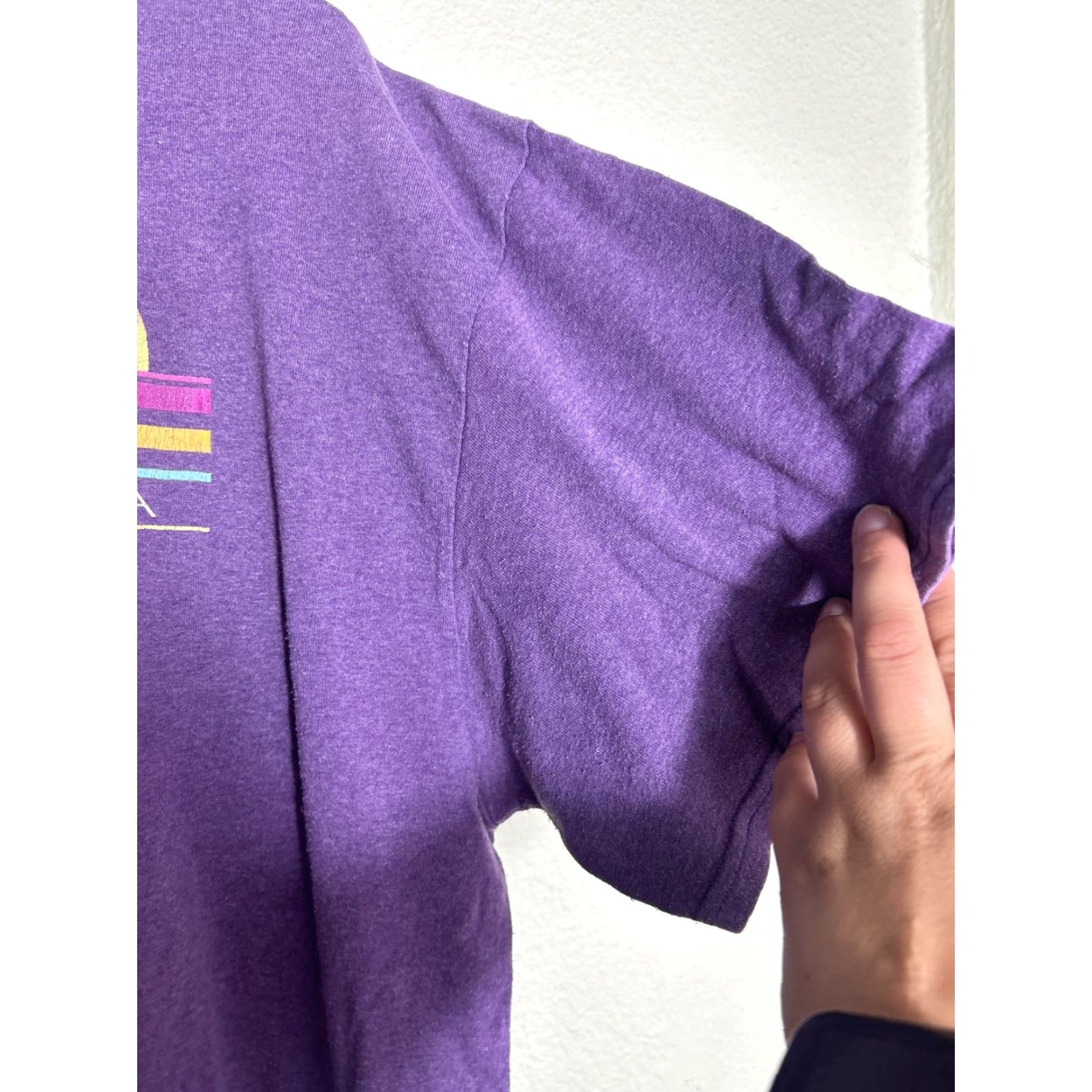 Vintage Mens XXL Short Sleeve Purple T Shirt Alaska Last Frontier Y2k Front? Size US L / EU 52-54 / 3 - 4 Thumbnail