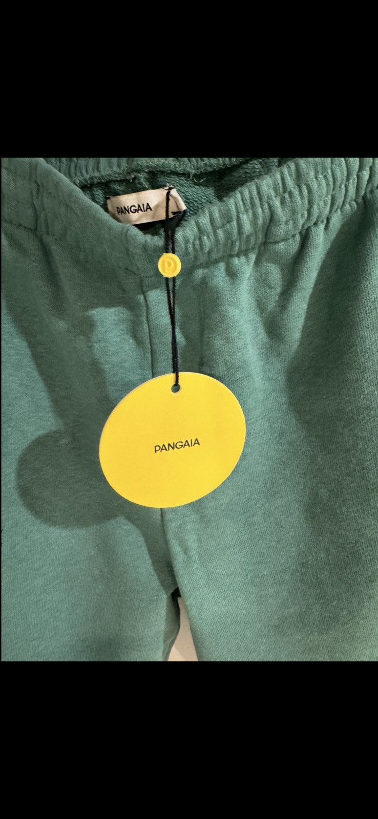 Pangaia Pangaia shorts Size US 32 / EU 48 - 2 Thumbnail