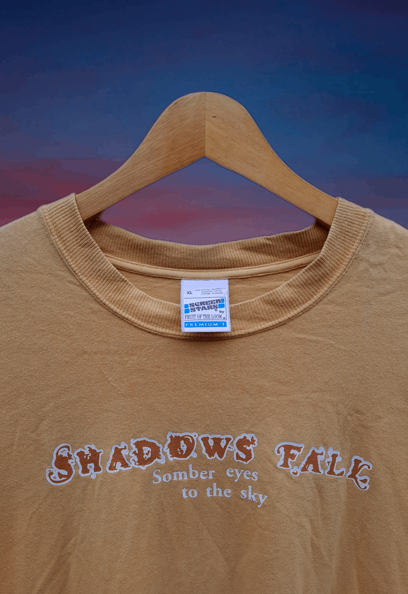 Band Tees Vintage 90s Shadows fall somber eyes to the sky t-shirt Size US XL / EU 56 / 4 - 5 Thumbnail