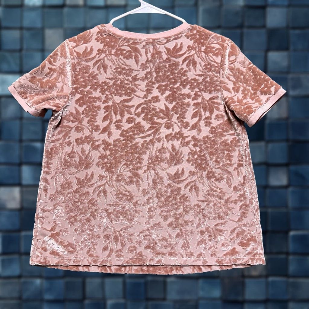 Vintage A New Day Shirt Womens Small Pink Blush Floral Burnout Velvet Bohemian Tee EUC Size S / US 4 / IT 40 - 1 Thumbnail