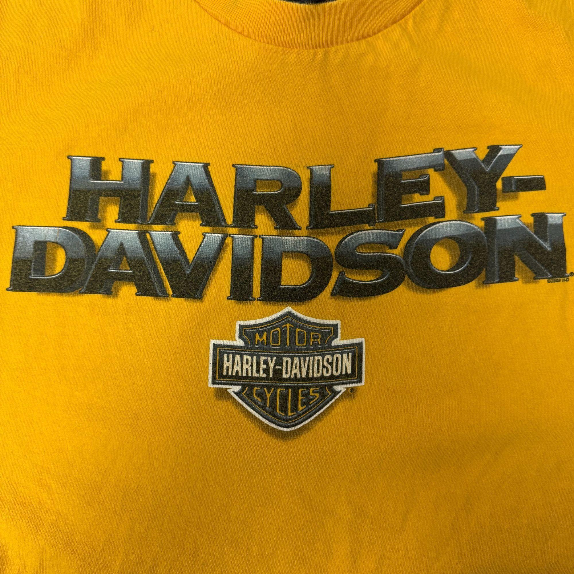 Harley Davidson Harley Davidson SPELLOUT Front Back Florida Biker T Shirt L Size US L / EU 52-54 / 3 - 3 Thumbnail