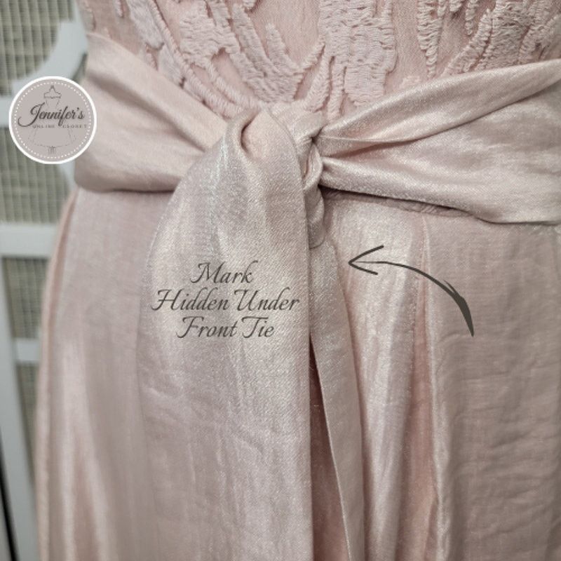 Adrianna Papell Adrianna Papell Blush Pink Shimmer Embroidered Bodice Dress Size XL / US 12-14 / IT 48-50 - 11 Thumbnail
