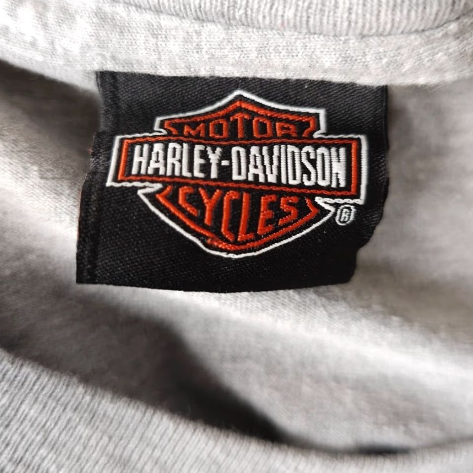 Harley Davidson Harley-Davidson T Shirt Mens Size S Gray 2020 Outer Banks Bike Week NC Souvenir Travel Motorcycle Biker Double-Sided Crew Neck Short Sleeve Cotton Size US S / EU 44-46 / 1 - 6 Thumbnail