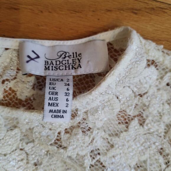 Badgley Mischka Badgley Mischka Belle lace overlay shift dress cocktail 2 Size XS / US 0-2 / IT 36-38 - 7 Thumbnail