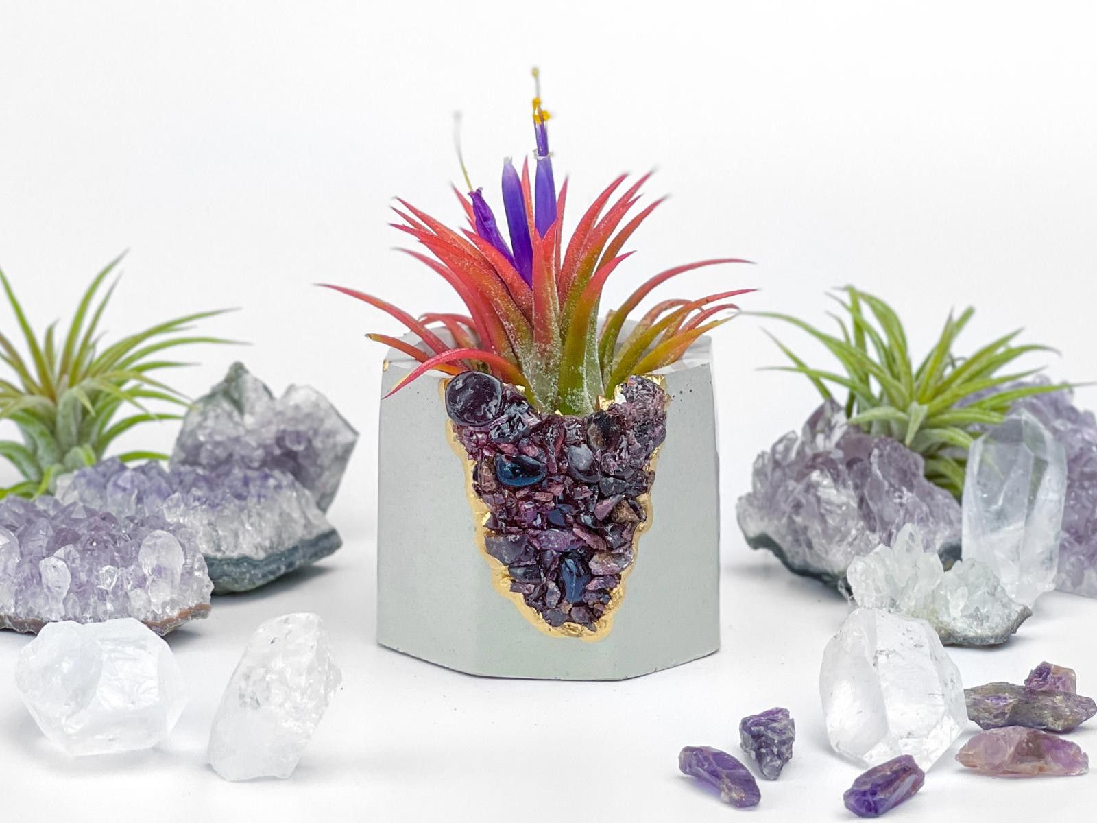 Other Garnet Crystal Concrete Planter | Geode Air Plant Holder Size ONE SIZE - 6 Thumbnail