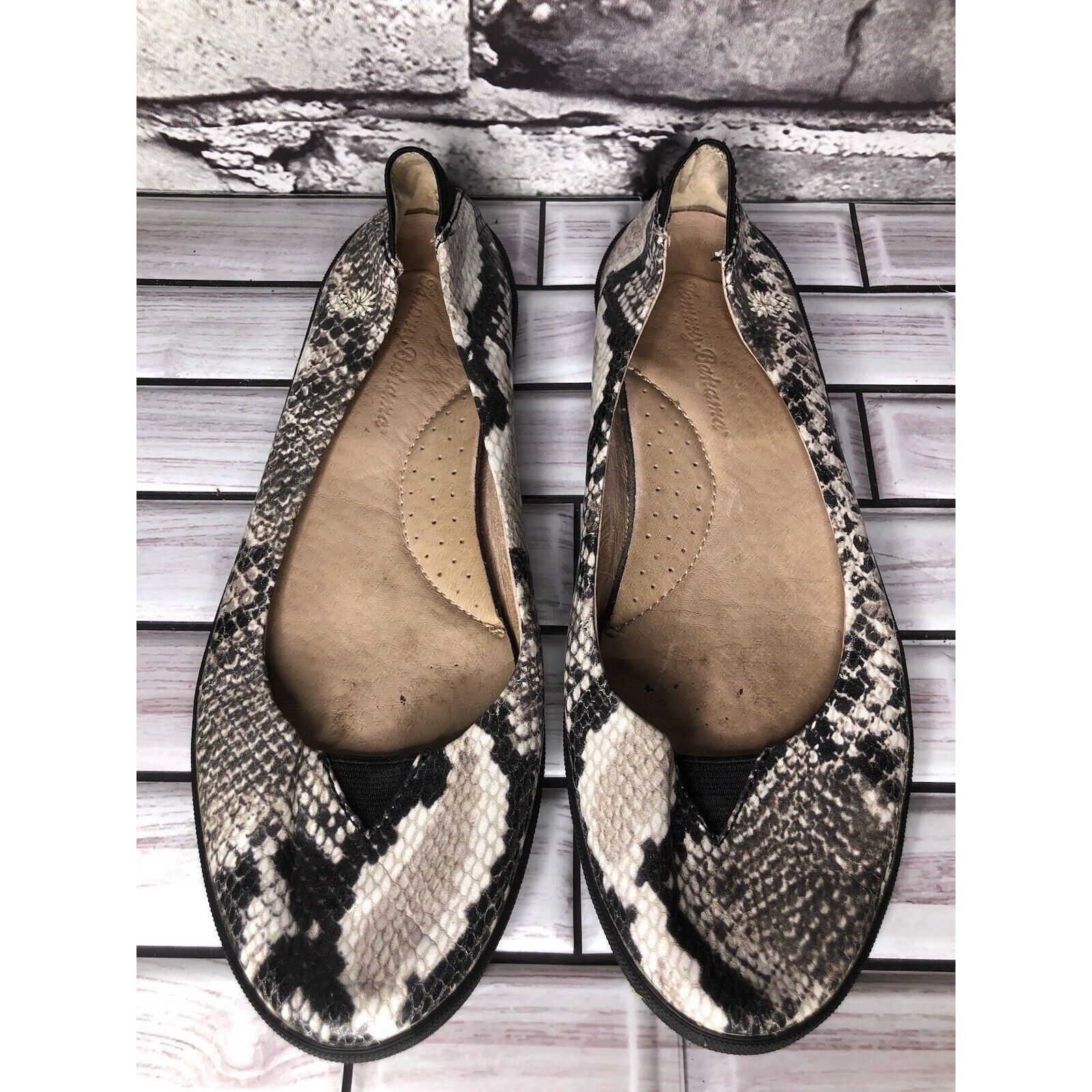 Tommy Bahama Tommy Bahama Odesa Ivory Black Leather Snake Skin Ballet Fla Size US 8 / IT 38 - 17 Thumbnail