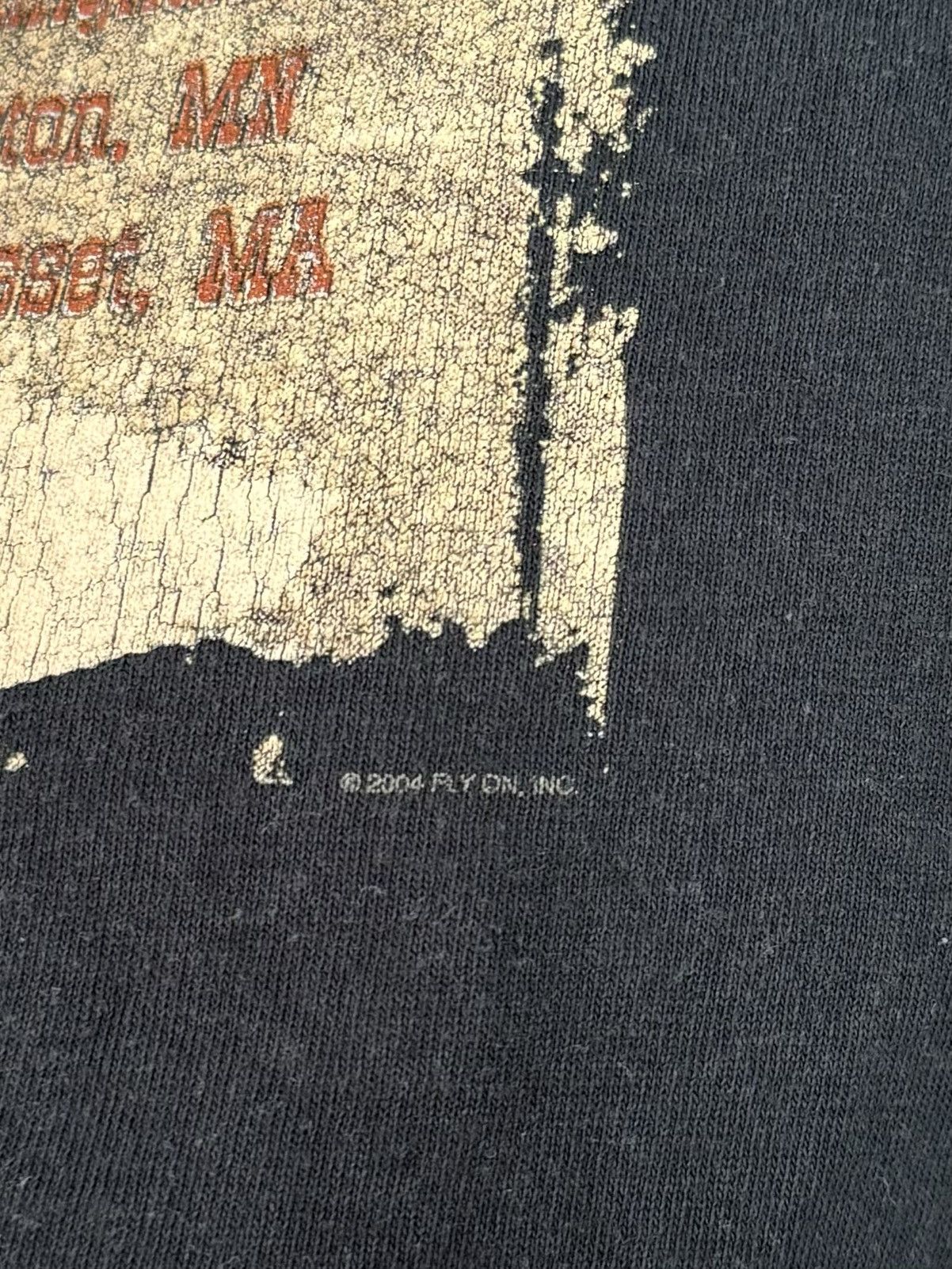 Band Tees Vintage Lynyrd Skynyrd 2004 USA Tour T-shirt Anvil Size US XXL / EU 58 / 5 - 7 Thumbnail