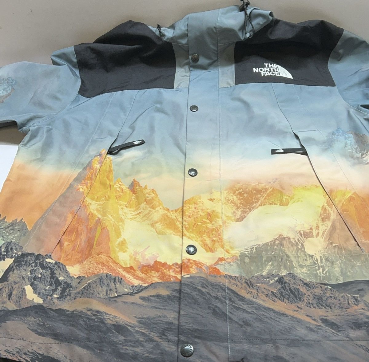 The North Face The North face tnf 1990 Gore-tex gtx mountain visa Jacket Size US XL / EU 56 / 4 - 7 Thumbnail